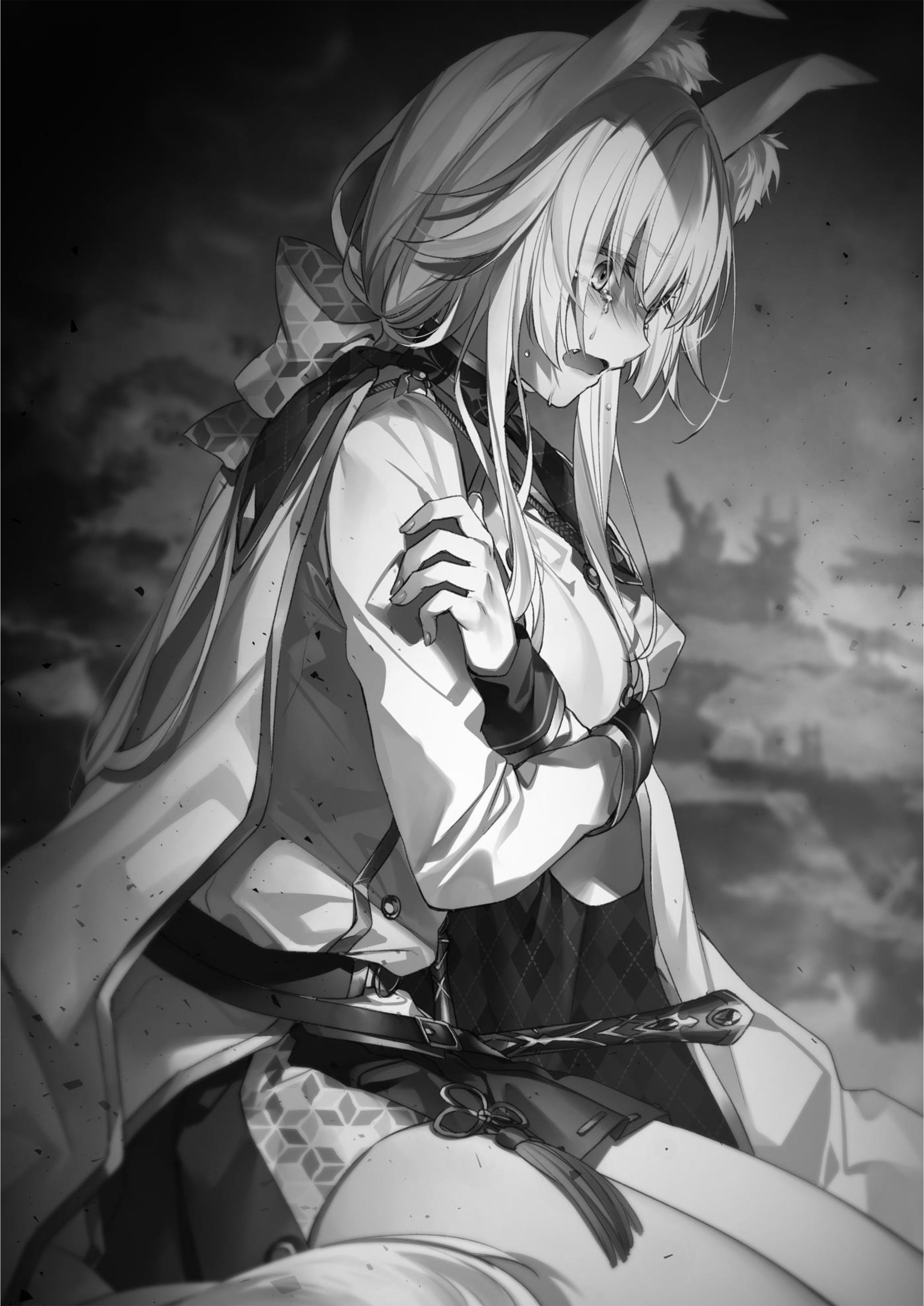 Furuki Okite No Mahou Kishi V1 Illustration - Megumi Novel