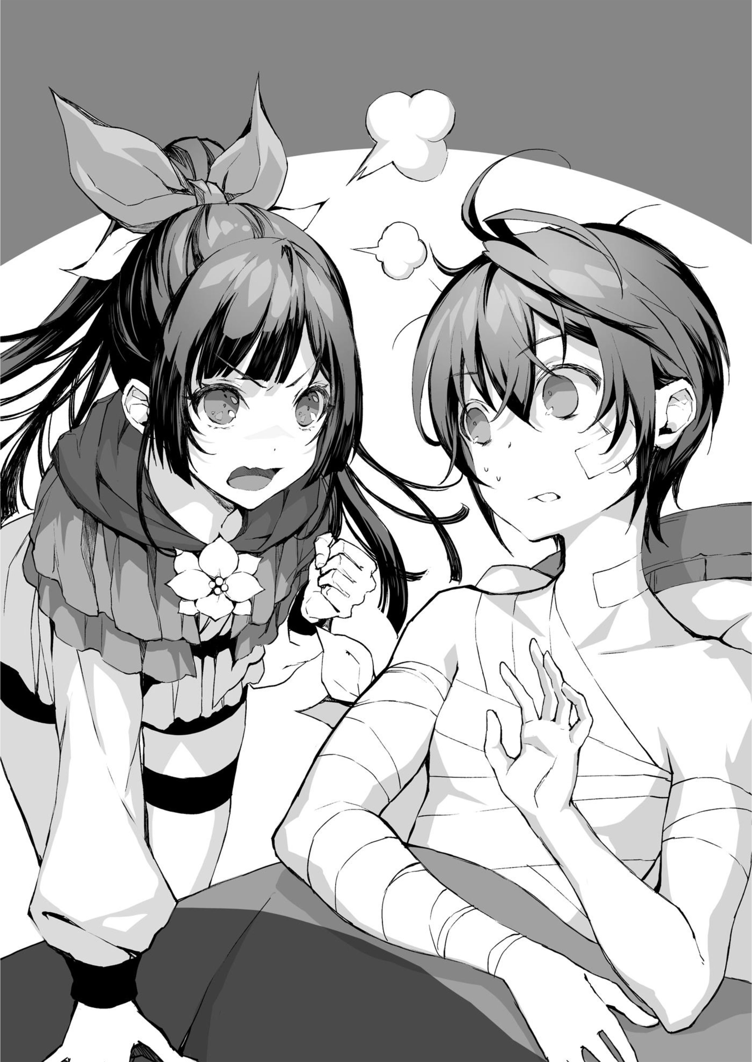 Fushi no Kami V1 Illustration - Megumi Novel