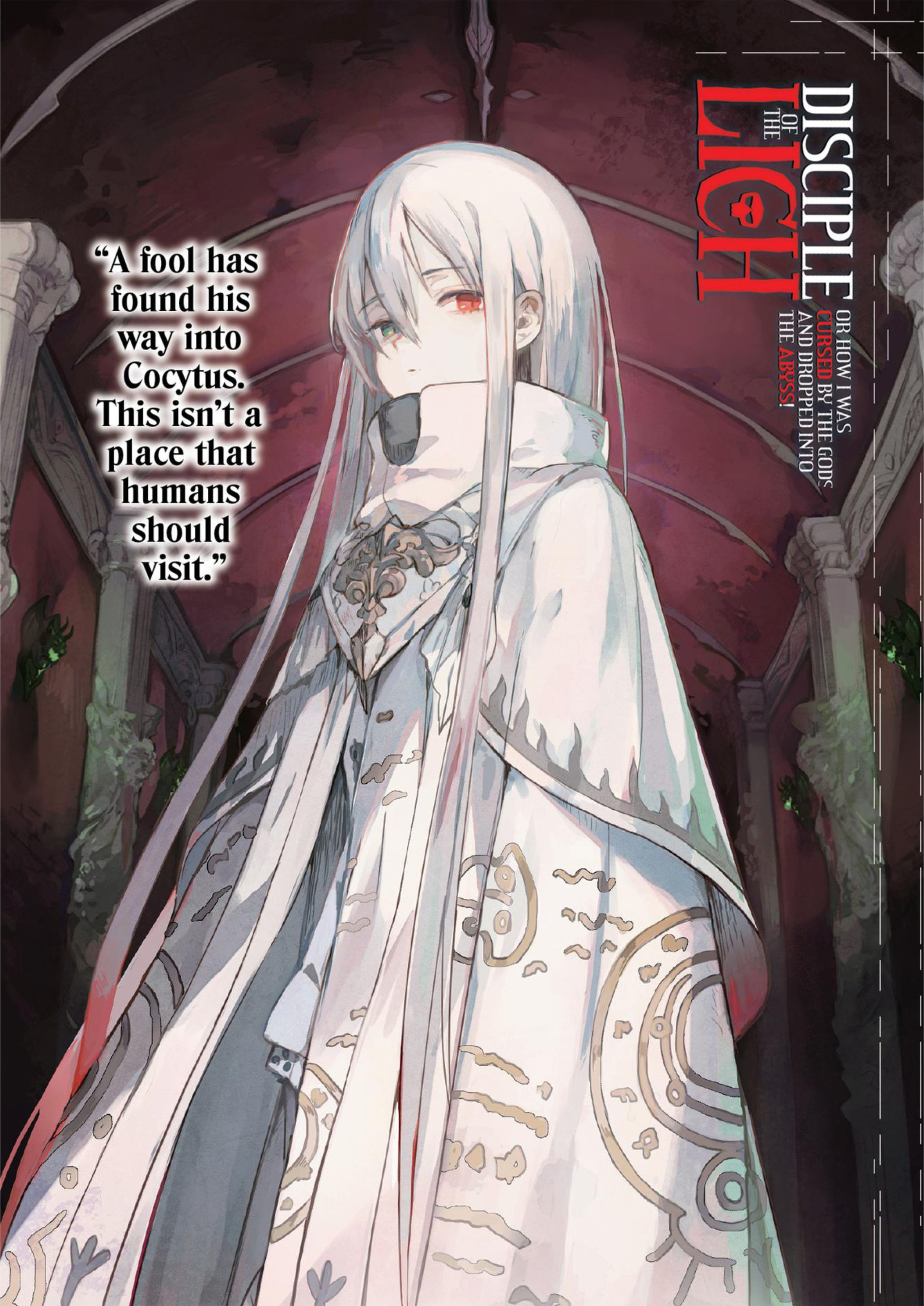 Fushisha no Deshi V1 Illustration - Megumi Novel