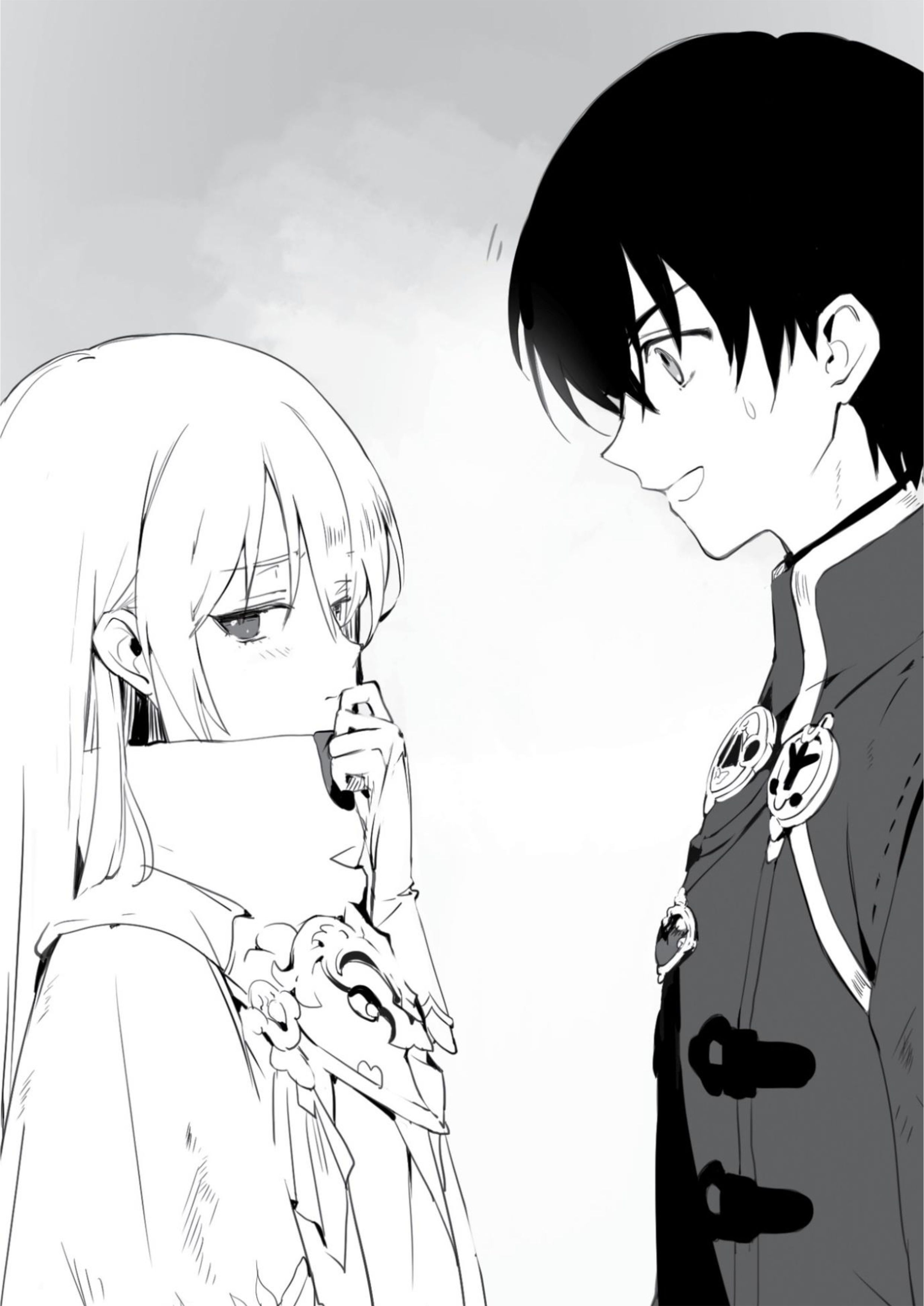 Fushisha no Deshi V2 Illustration - Megumi Novel