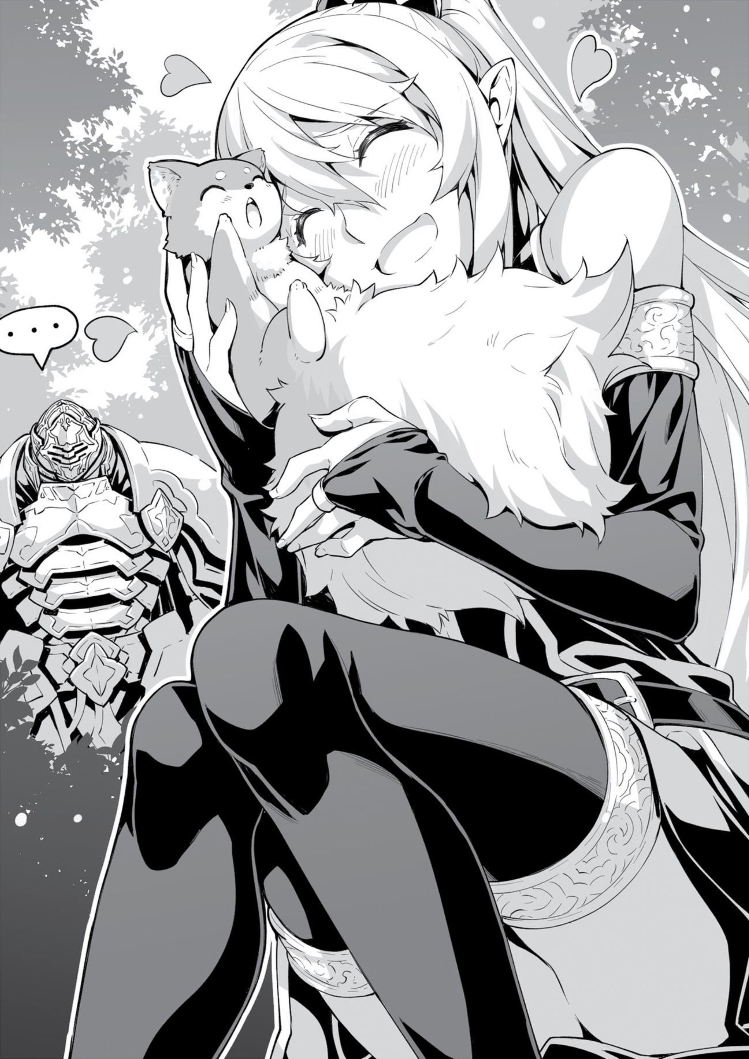 Gaikotsu Kishi-sama V2 Illustration - Megumi Novel