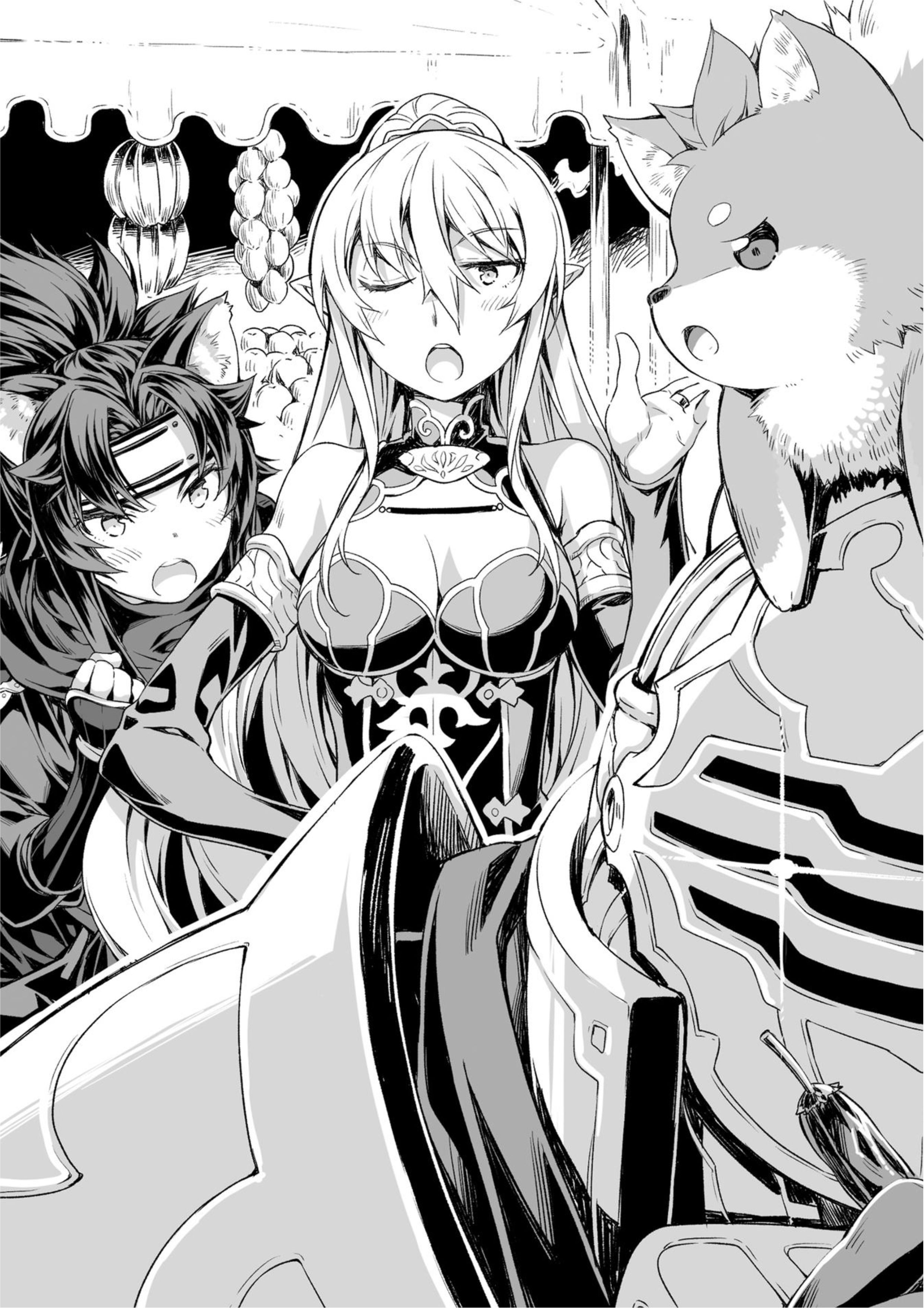 Gaikotsu Kishi-sama V5 Illustration - Megumi Novel