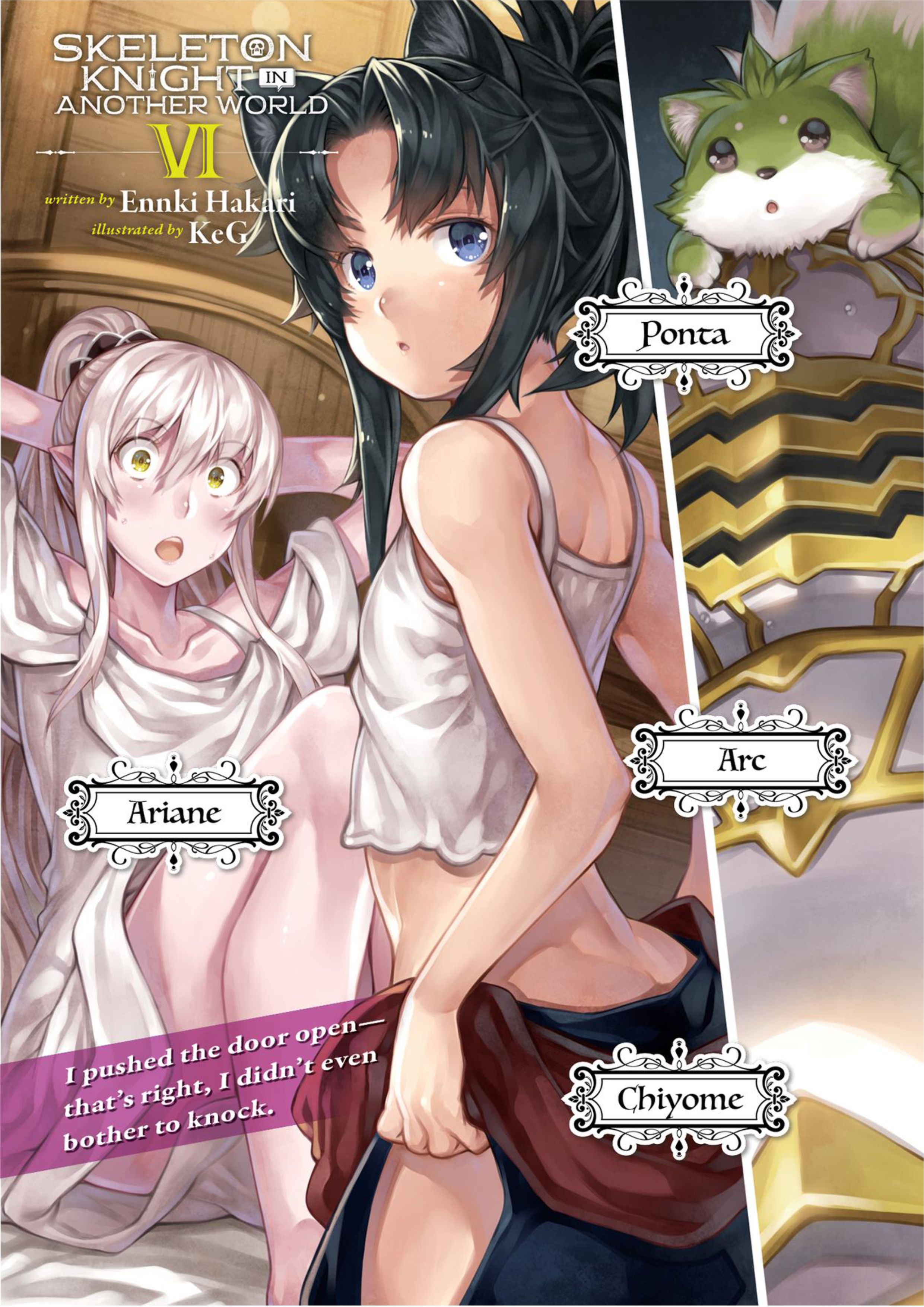 Gaikotsu Kishi-sama V6 Illustration - Megumi Novel