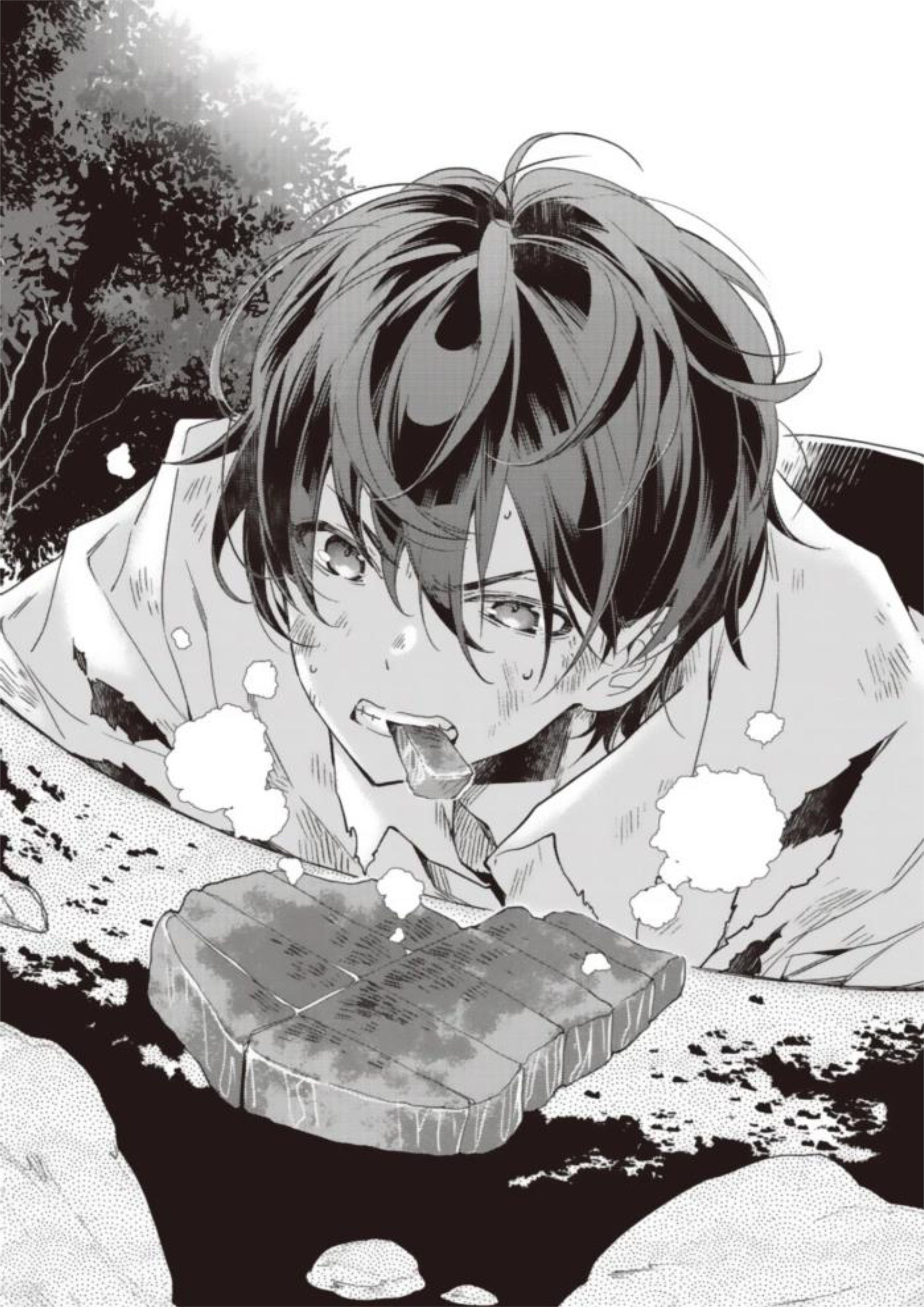 Garbage Brave V1 Illustration - Megumi Novel