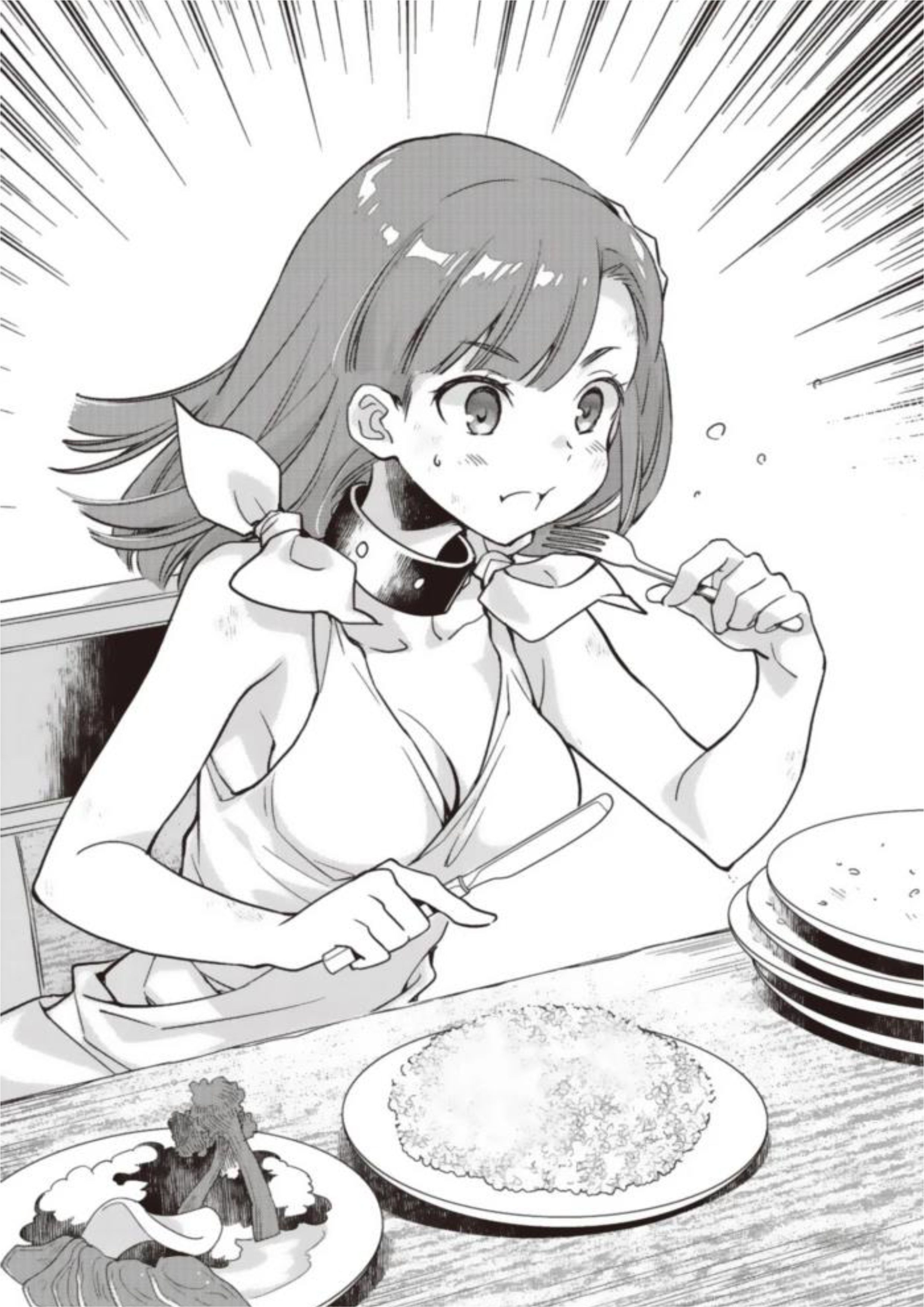 Garbage Brave V1 Illustration - Megumi Novel