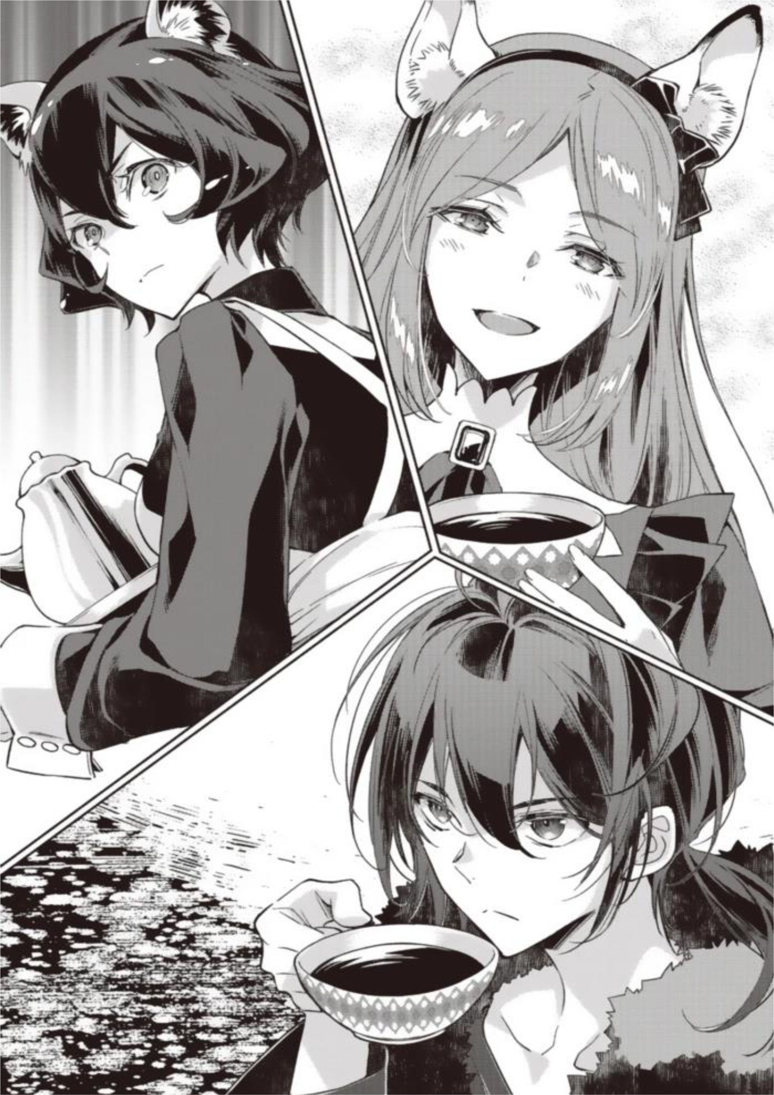 Garbage Brave V1 Illustration - Megumi Novel