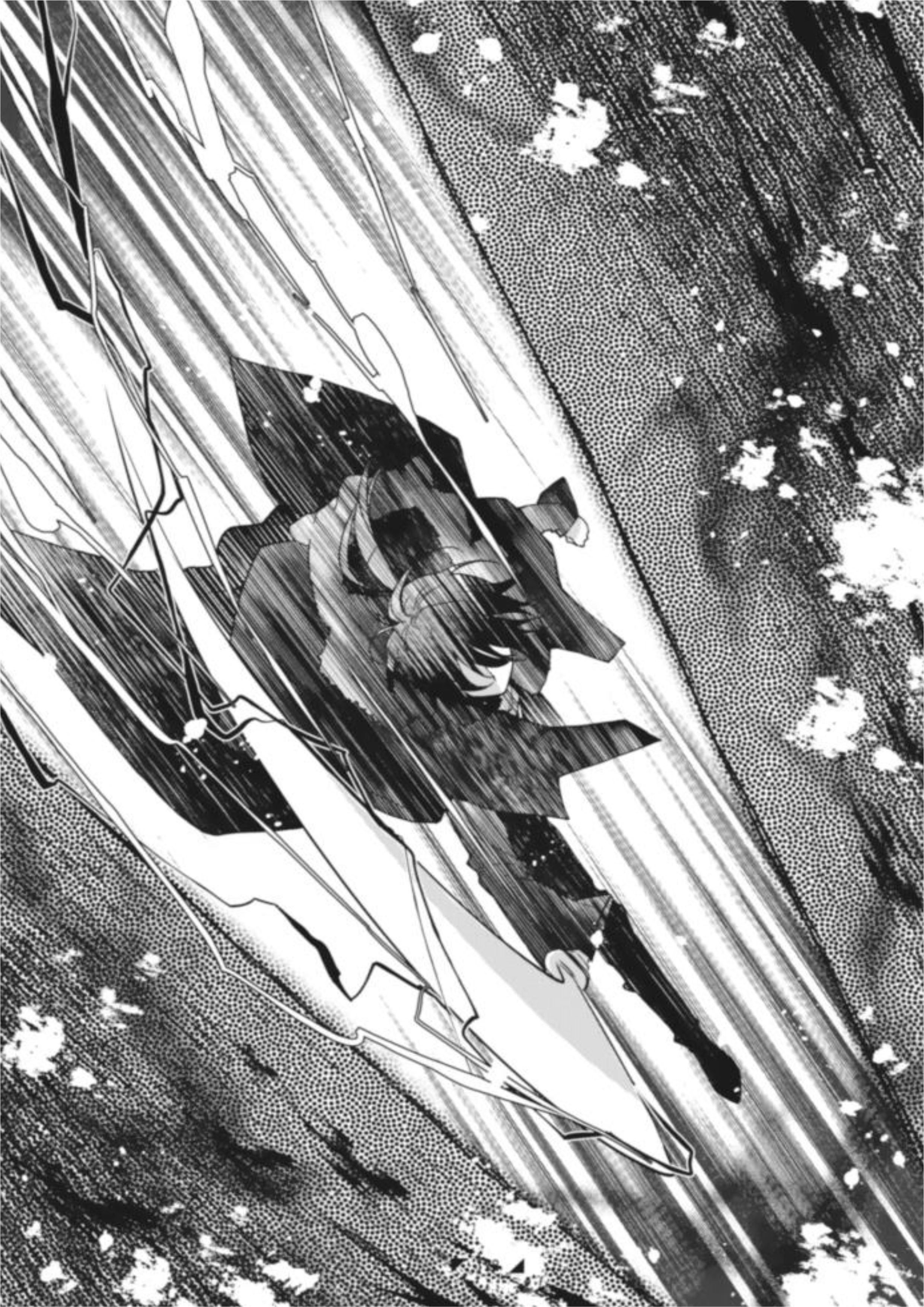 Garbage Brave V2 Illustration - Megumi Novel