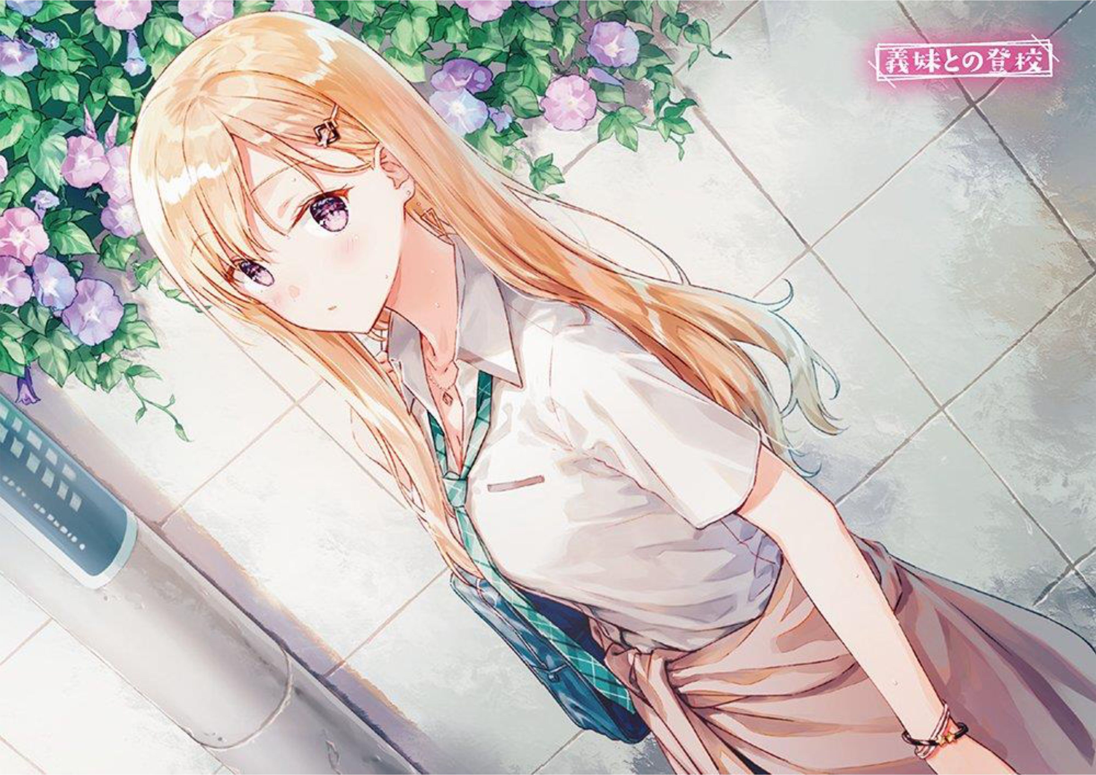 Gimai Seikatsu V3 Illustration - Megumi Novel