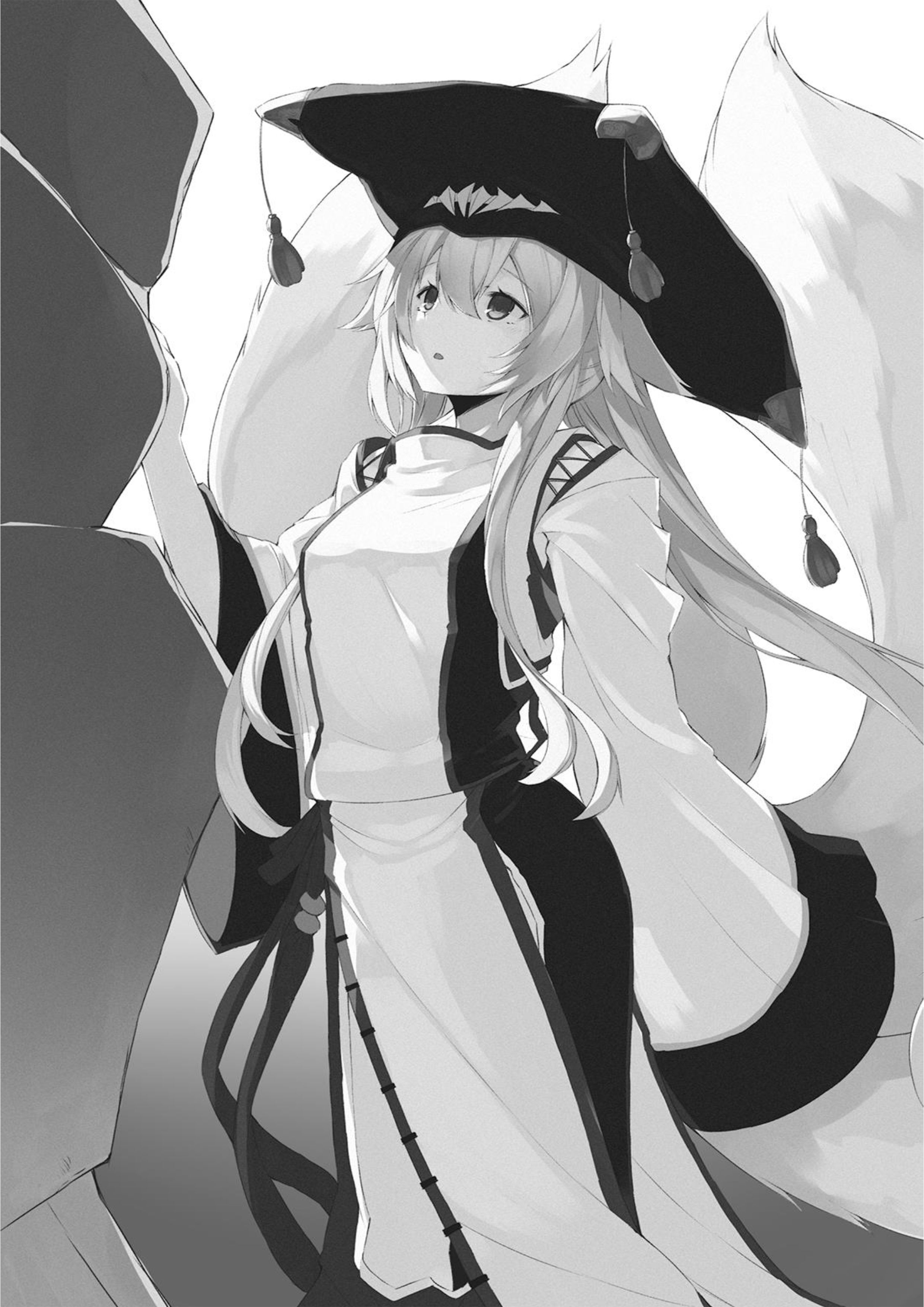 GM ga isekai ni roguin shimashita V1 Illustration - Megumi Novel