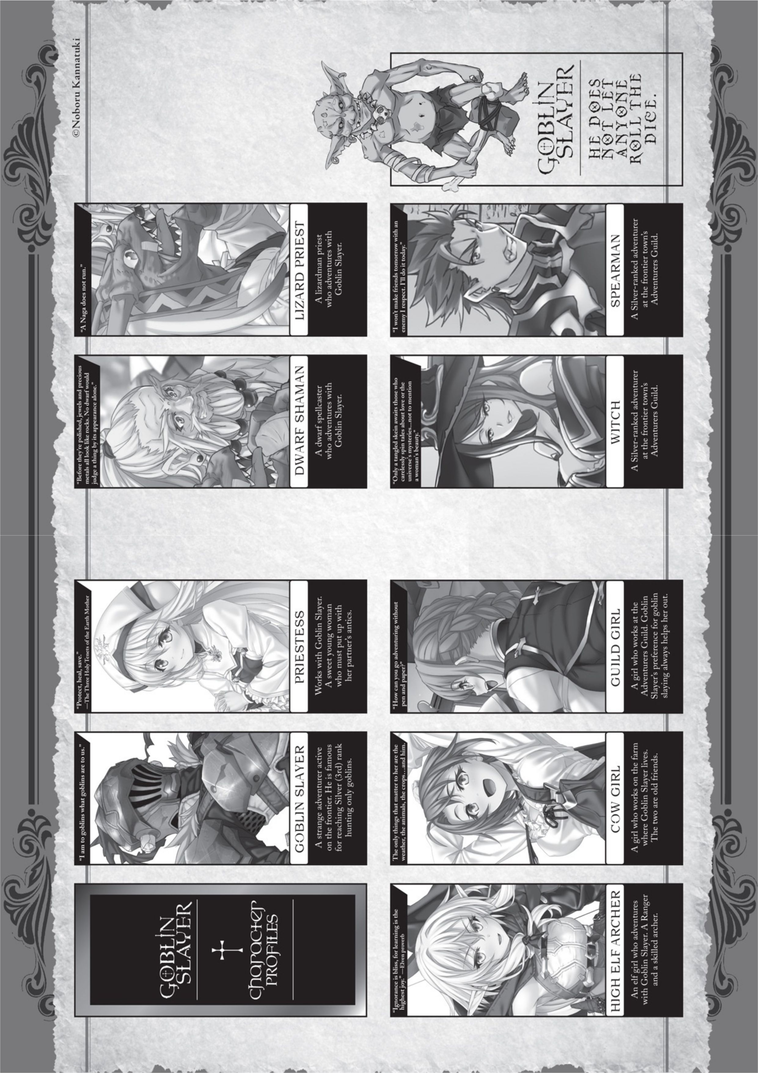 Goblin Slayer V3 Illustration - Megumi Novel