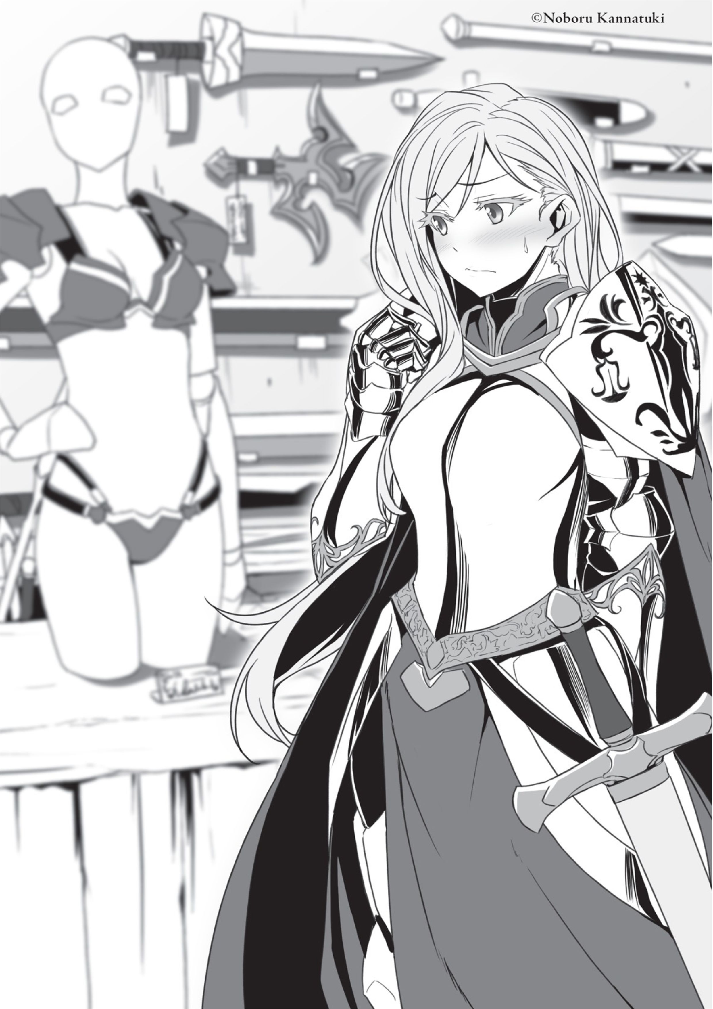 Goblin Slayer V3 Illustration - Megumi Novel