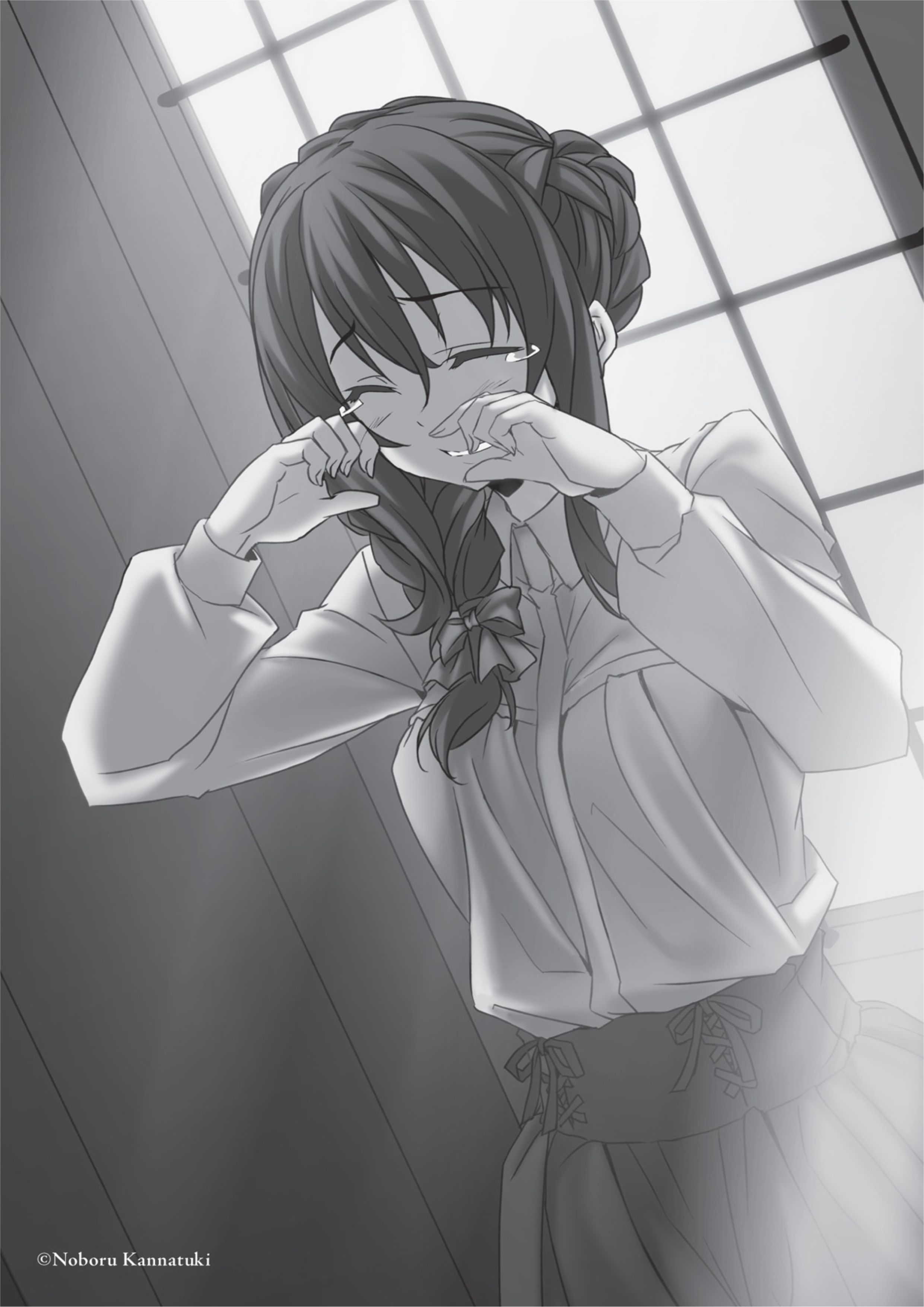 Goblin Slayer V3 Illustration - Megumi Novel