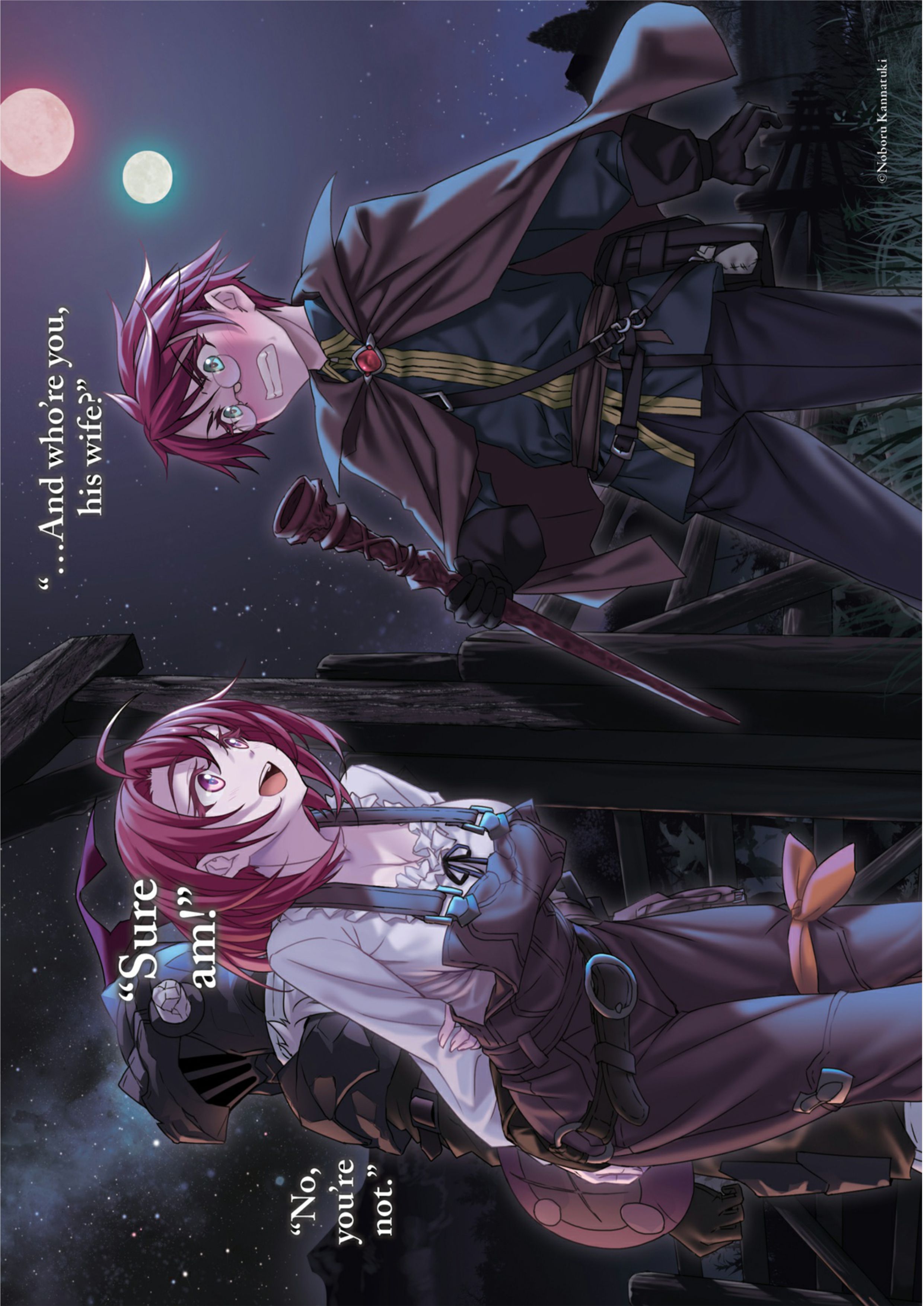 Goblin Slayer V6 Illustration - Megumi Novel