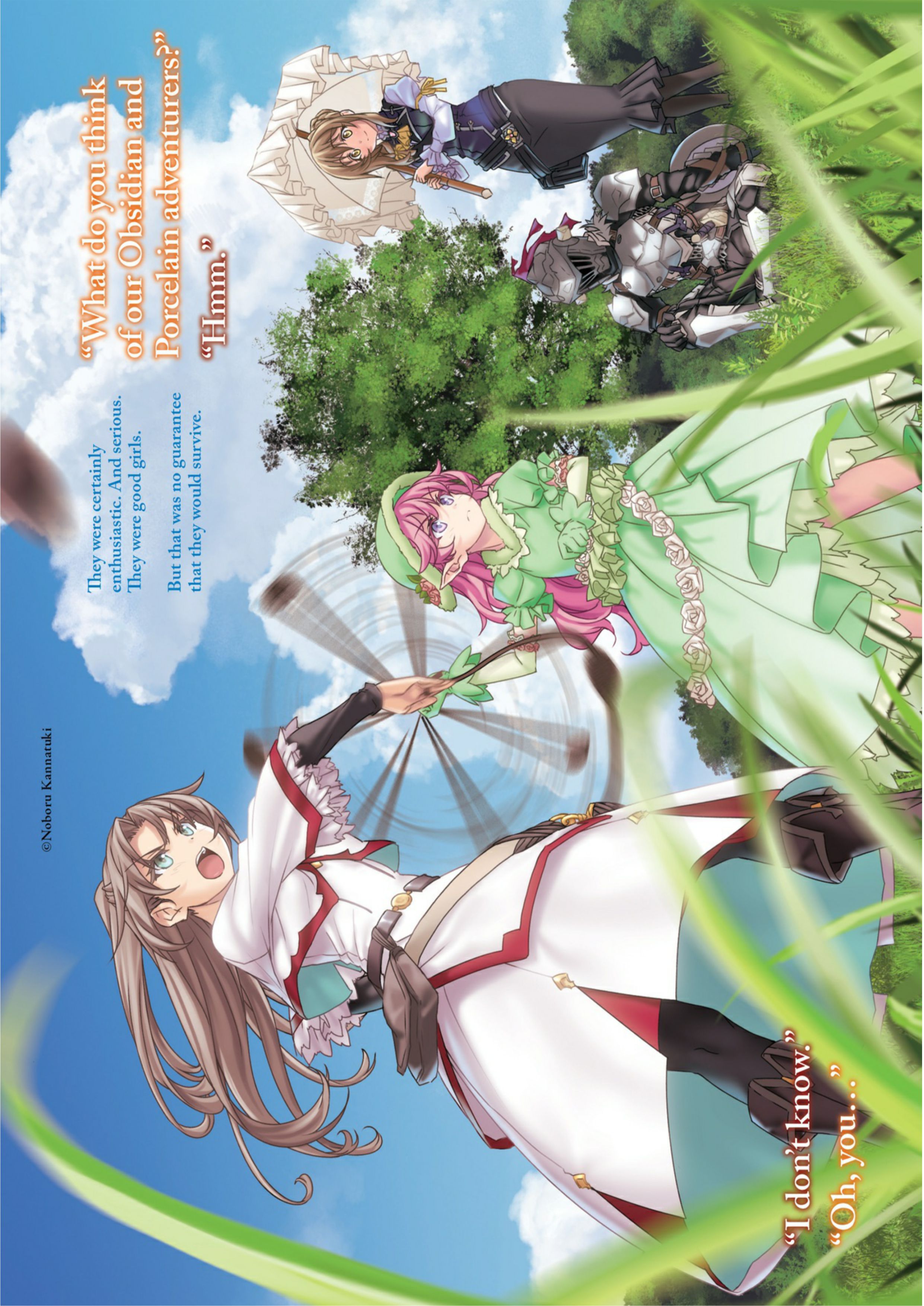 Goblin Slayer V6 Illustration - Megumi Novel