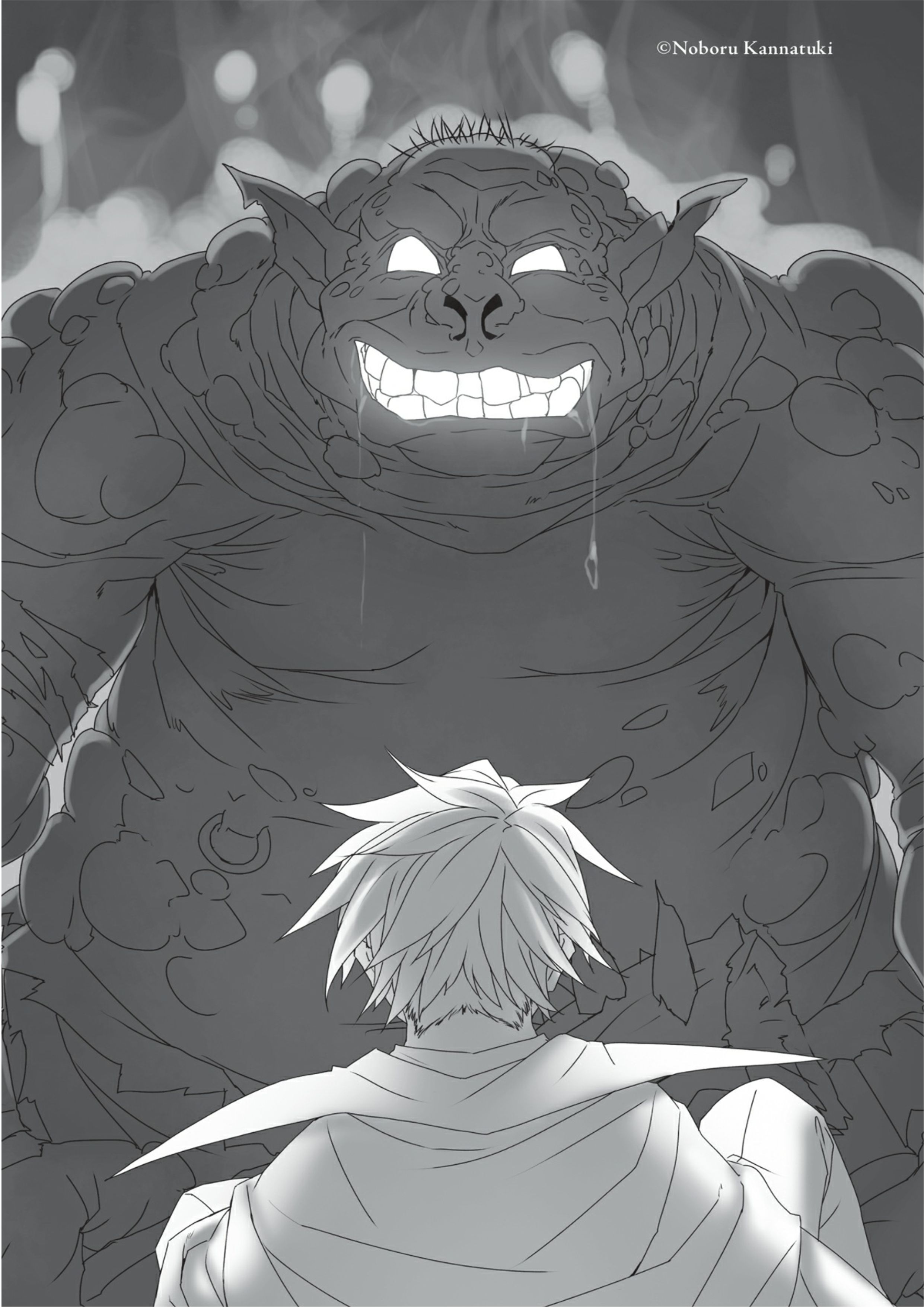 Goblin Slayer V6 Illustration - Megumi Novel