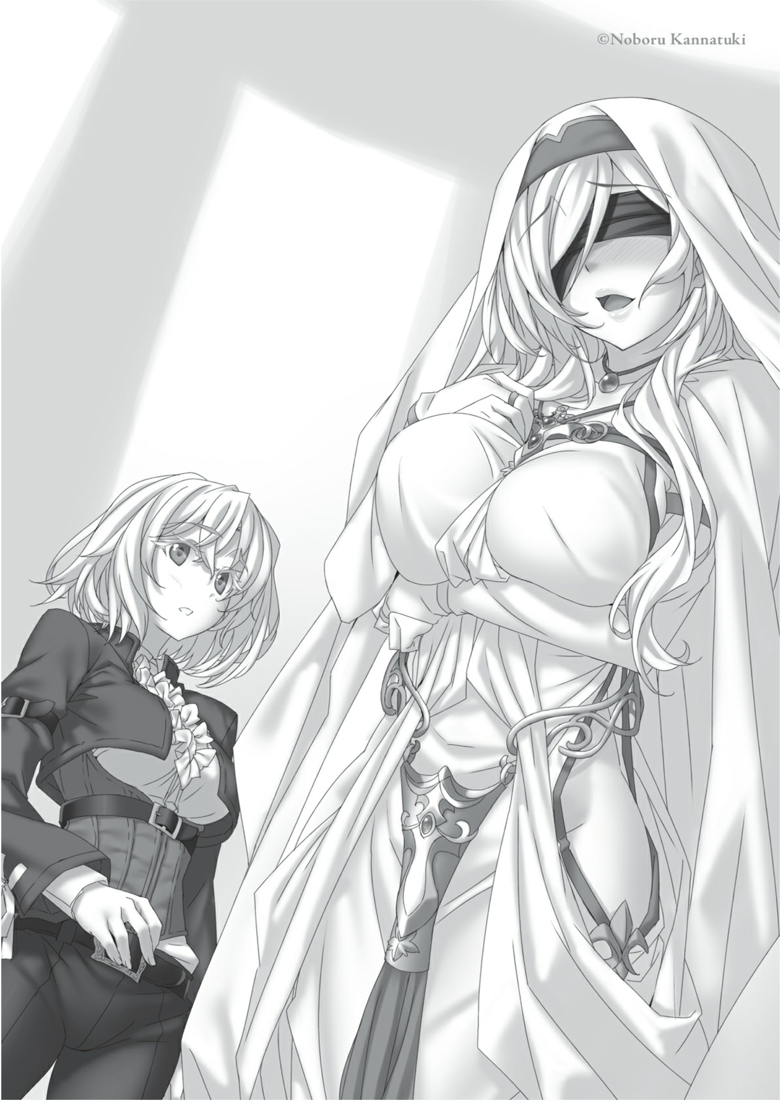 Goblin Slayer V6 Illustration - Megumi Novel