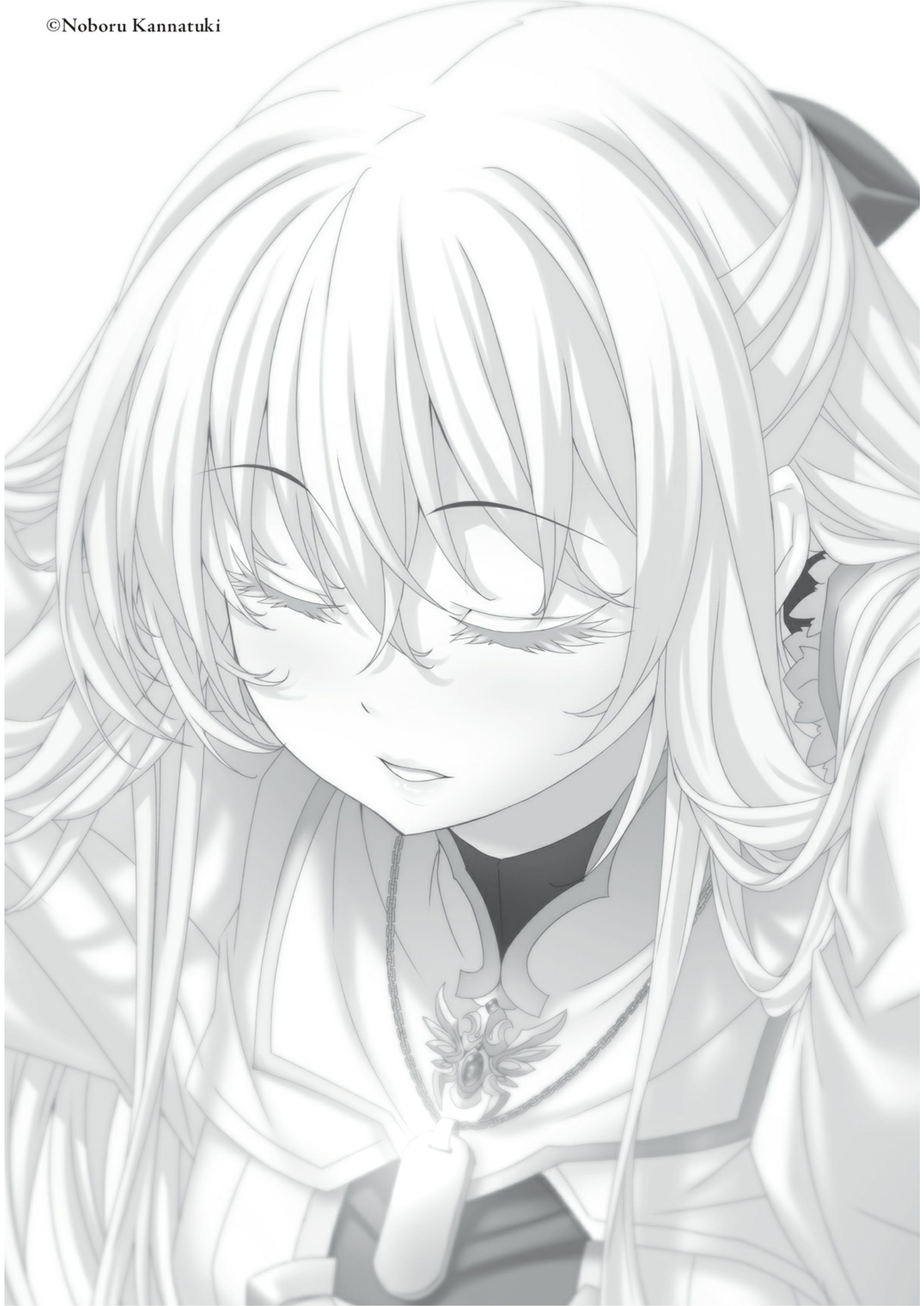 Goblin Slayer V6 Illustration - Megumi Novel