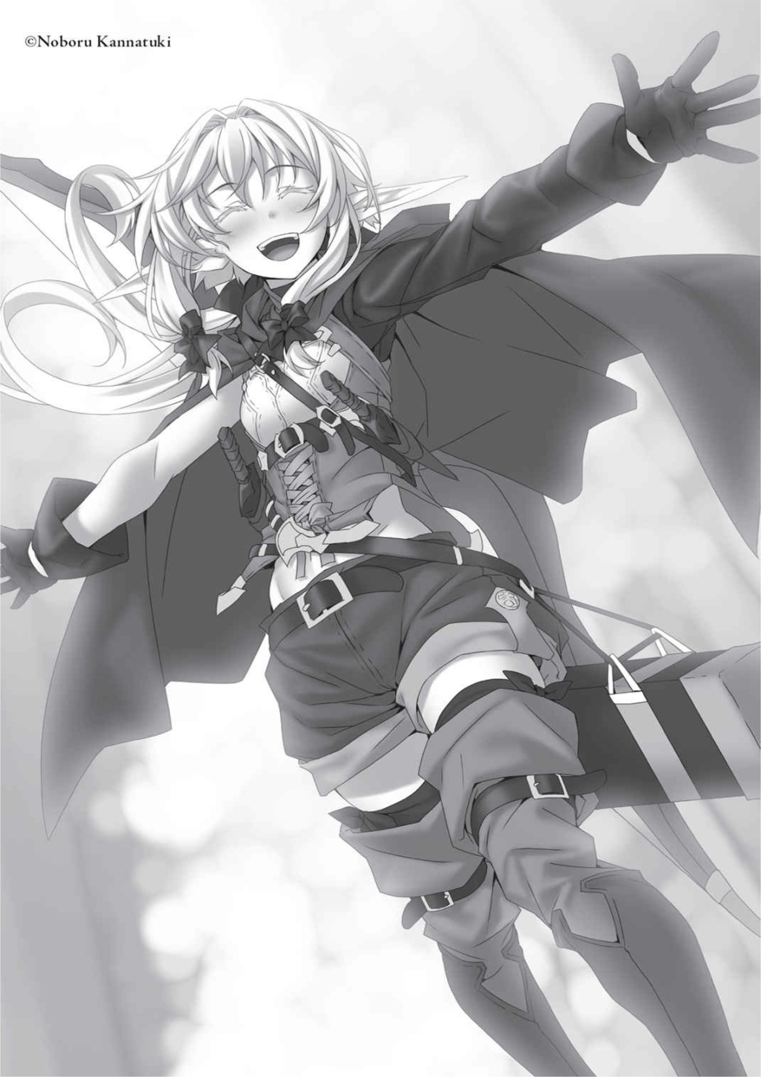 Goblin Slayer V7 Illustration - Megumi Novel