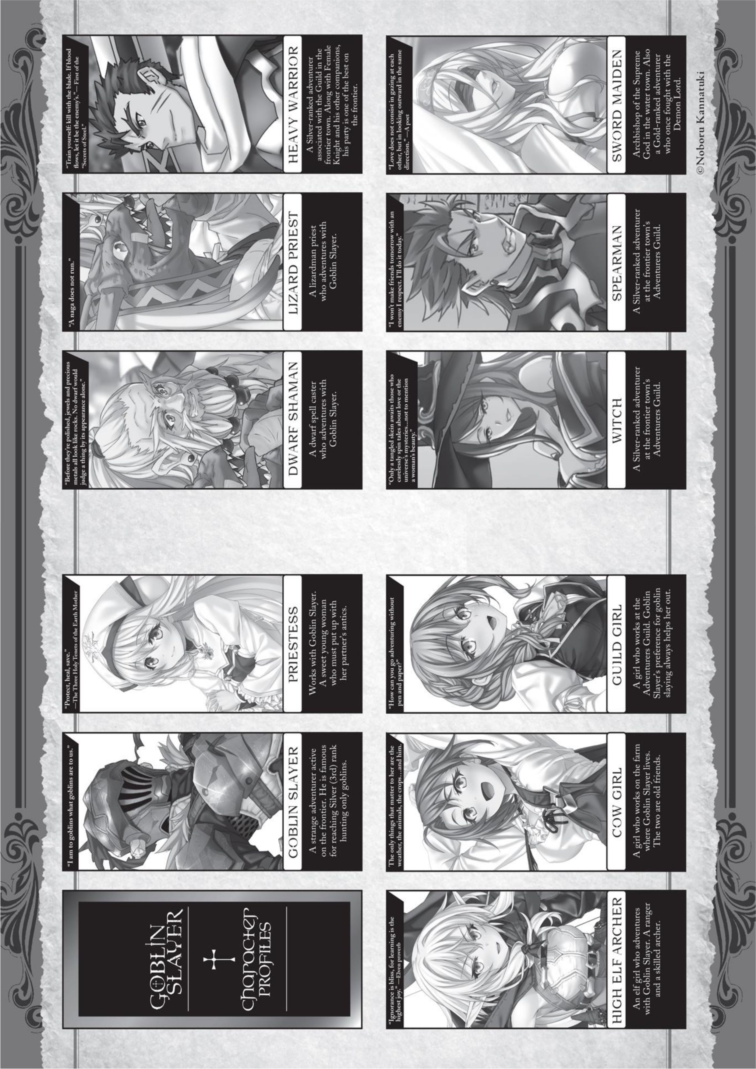 Goblin Slayer V10 Illustration - Megumi Novel