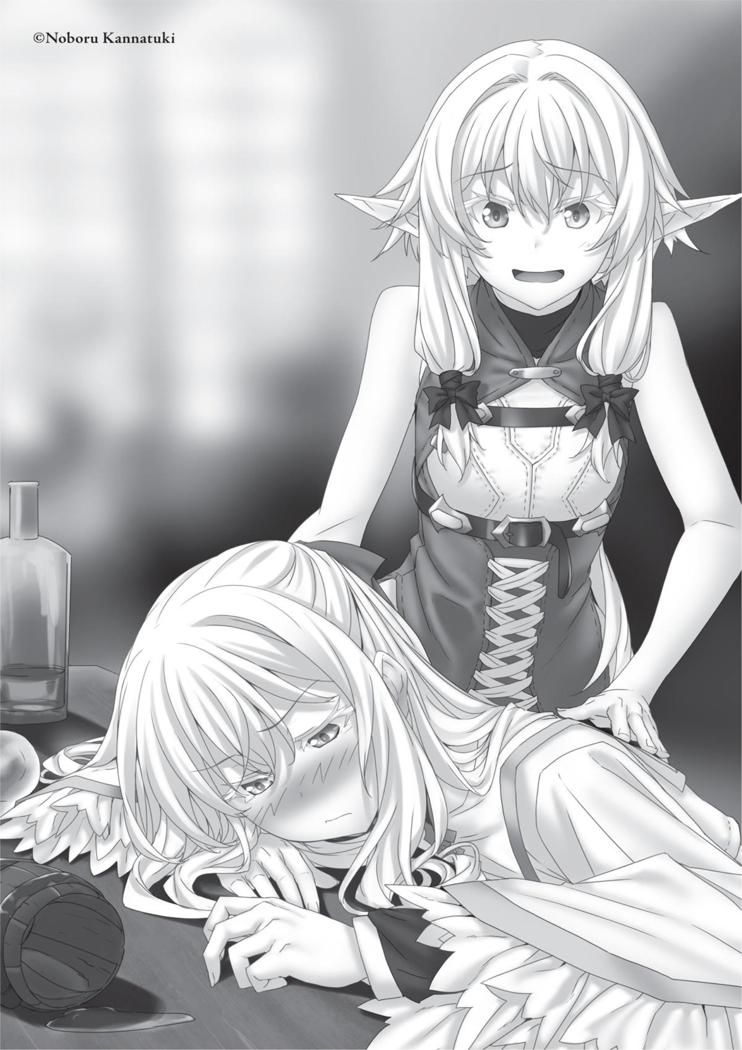 Goblin Slayer V10 Illustration - Megumi Novel