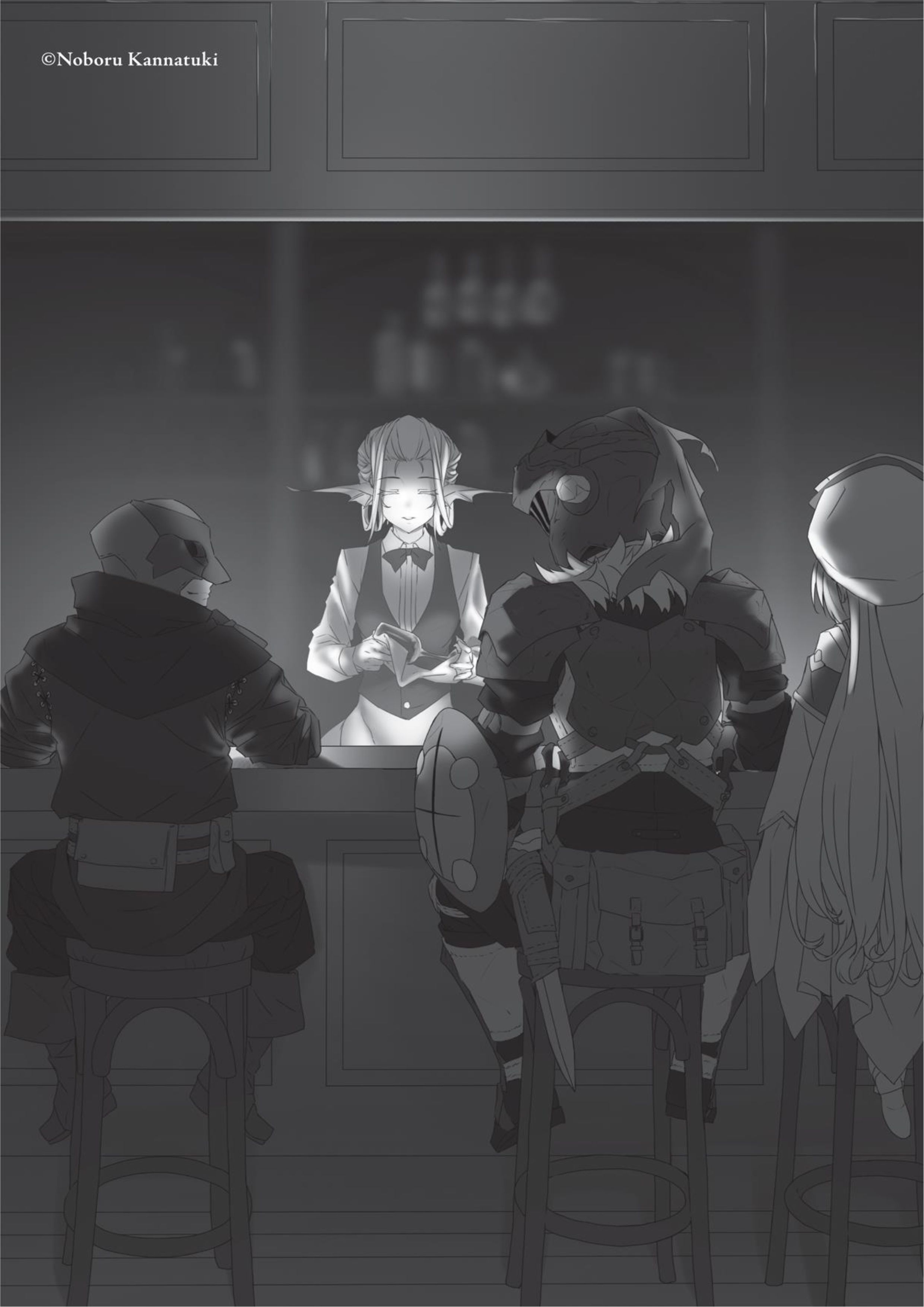 Goblin Slayer V10 Illustration - Megumi Novel