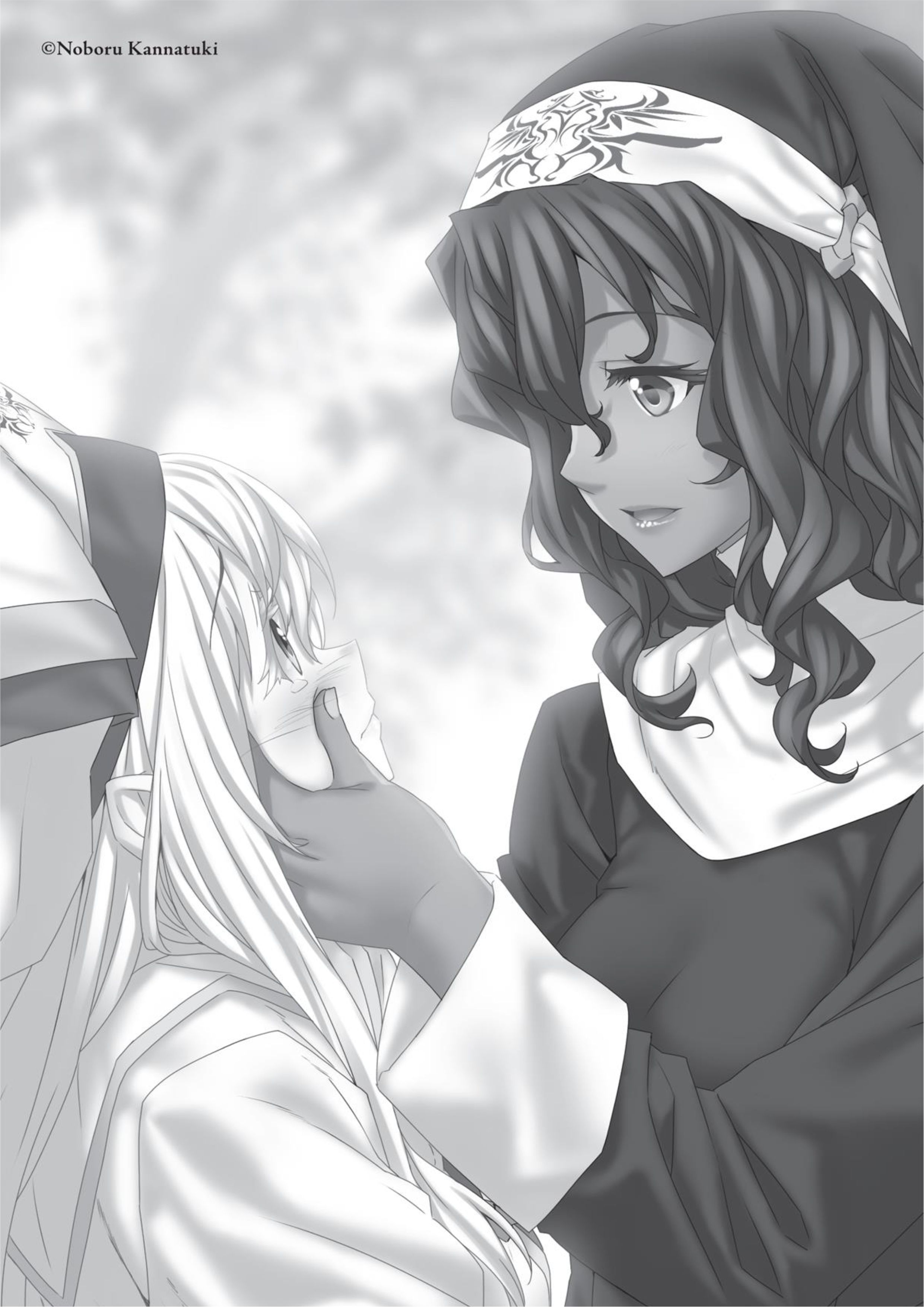 Goblin Slayer V10 Illustration - Megumi Novel