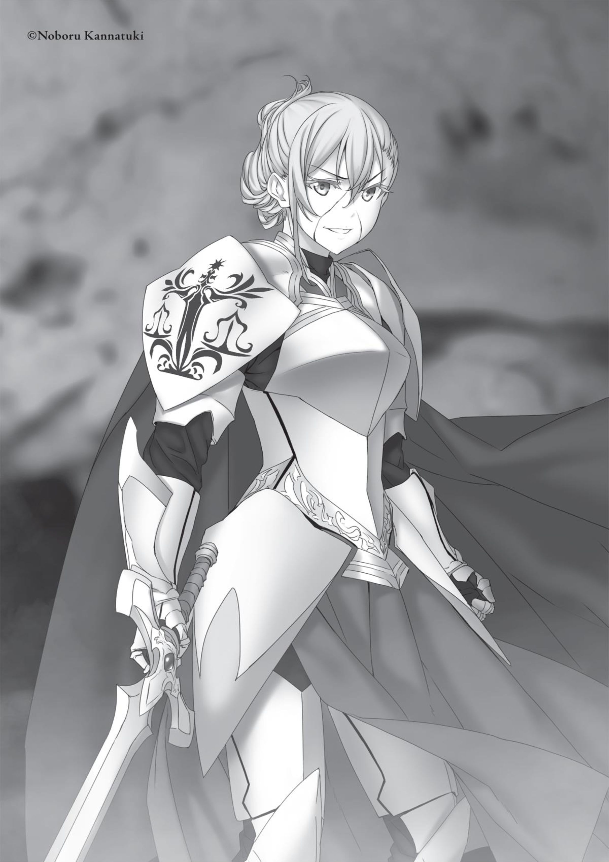Goblin Slayer V10 Illustration - Megumi Novel