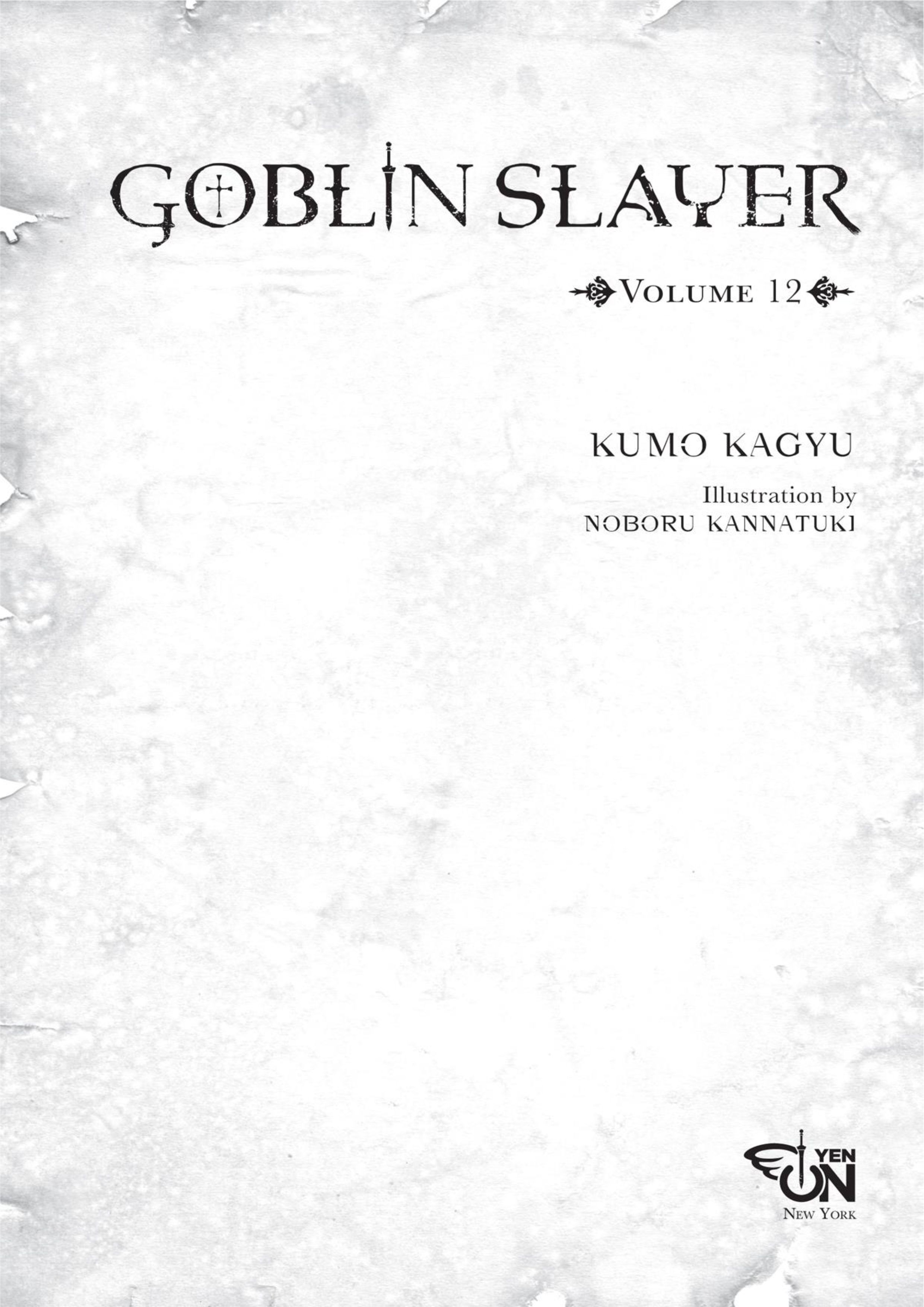 Goblin Slayer V12 Illustration - Megumi Novel