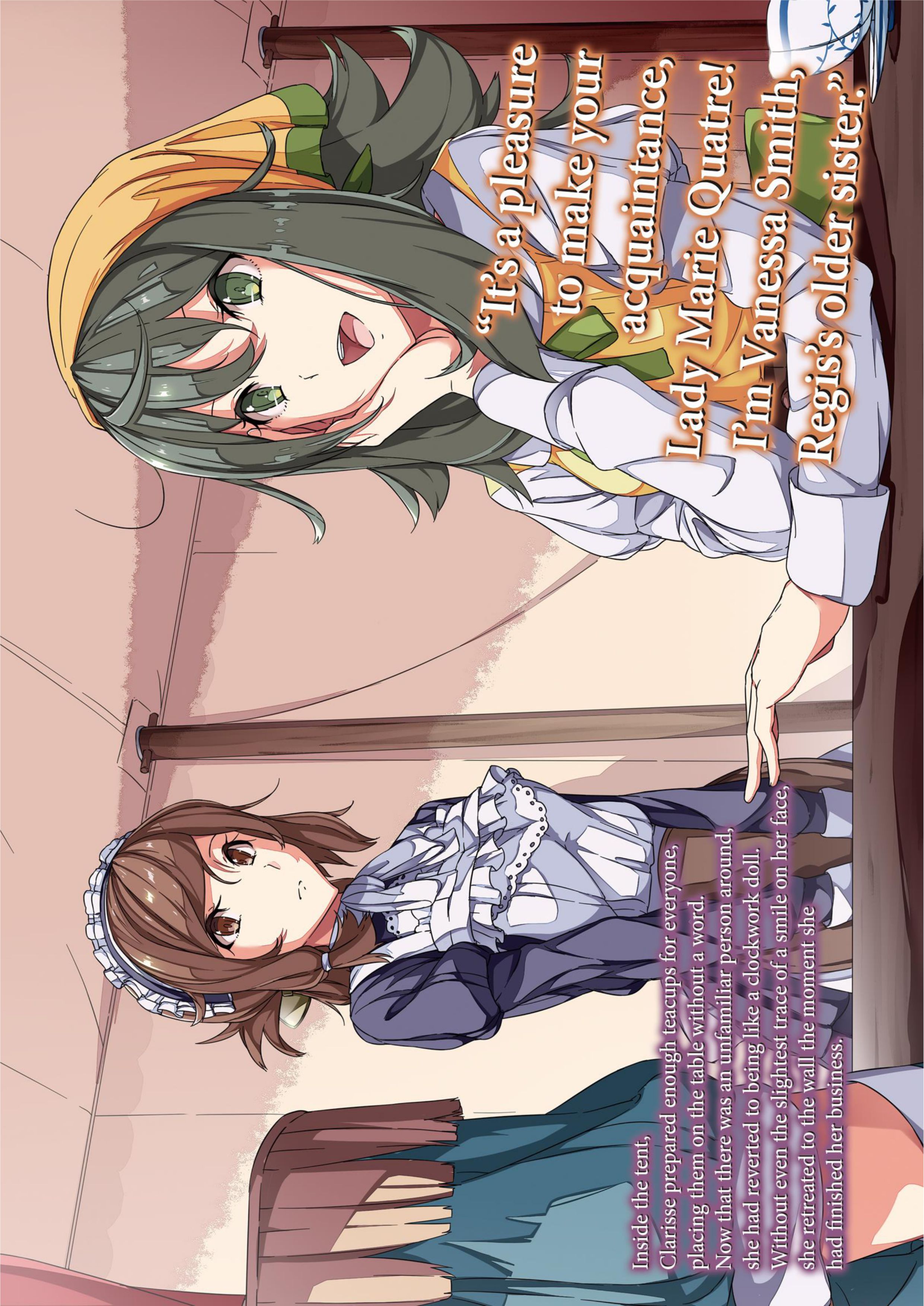 Haken no Kouki Altina V5 Illustration - Megumi Novel