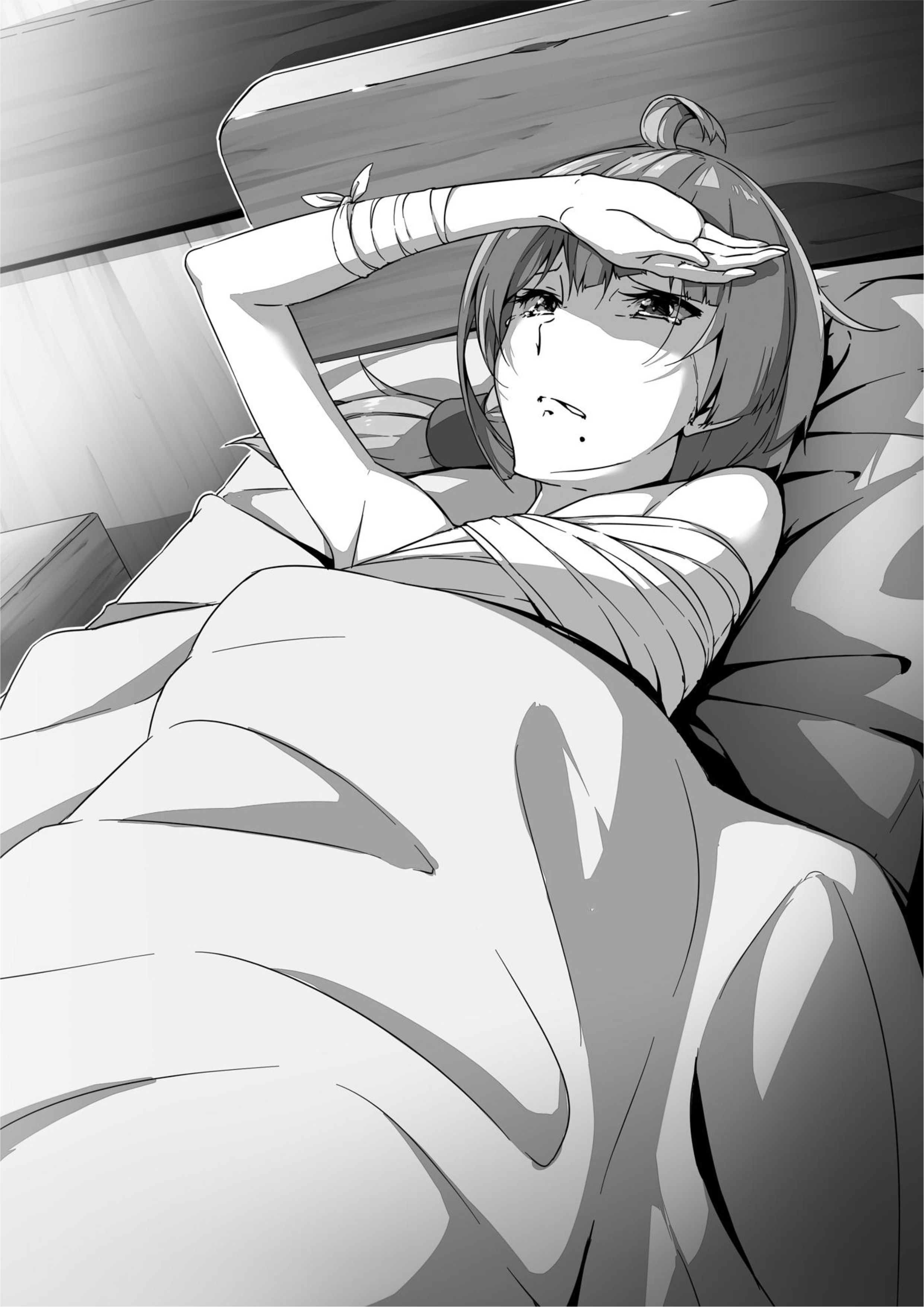 Haken no Kouki Altina V5 Illustration - Megumi Novel