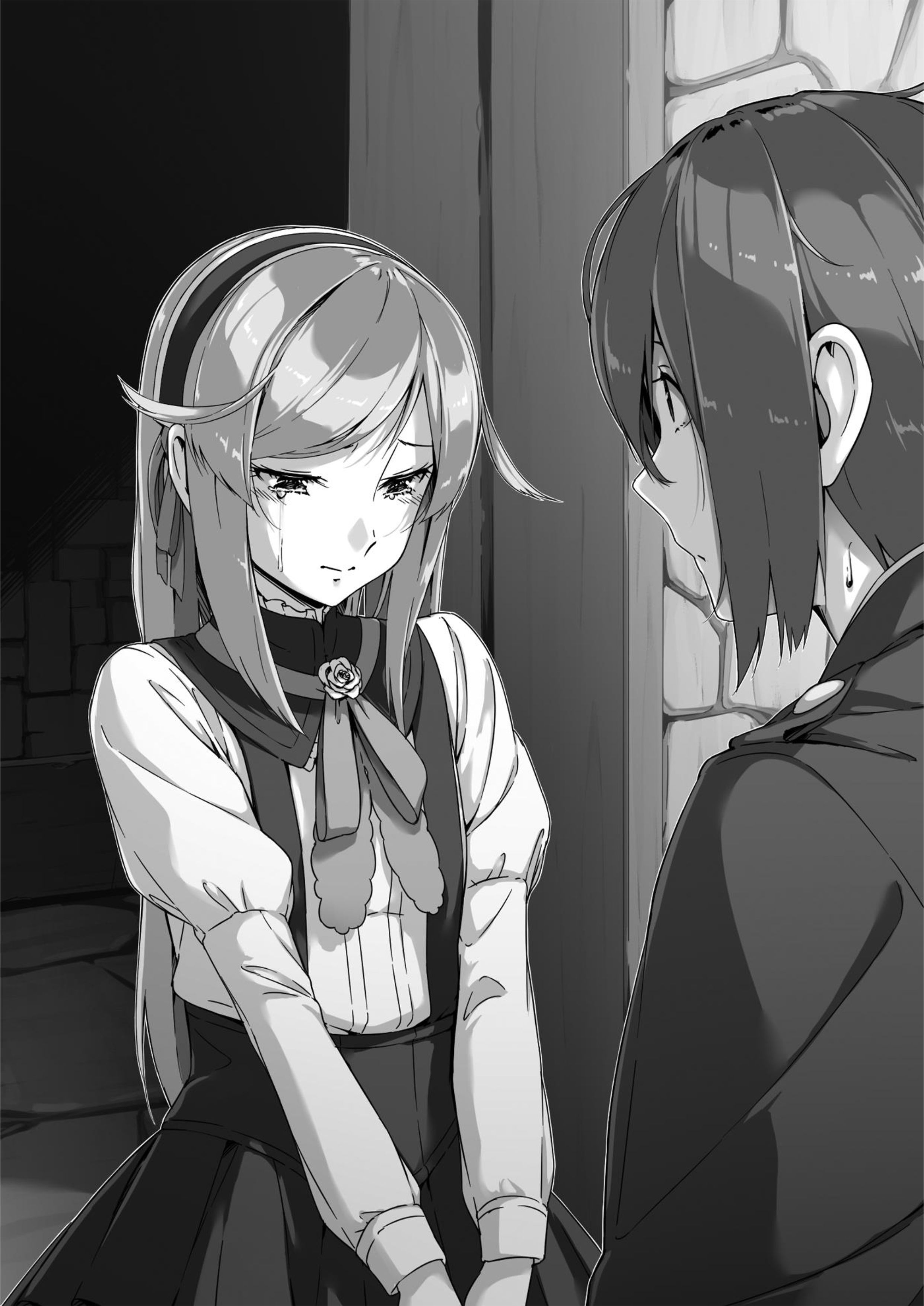 Haken no Kouki Altina V13 Illustration - Megumi Novel