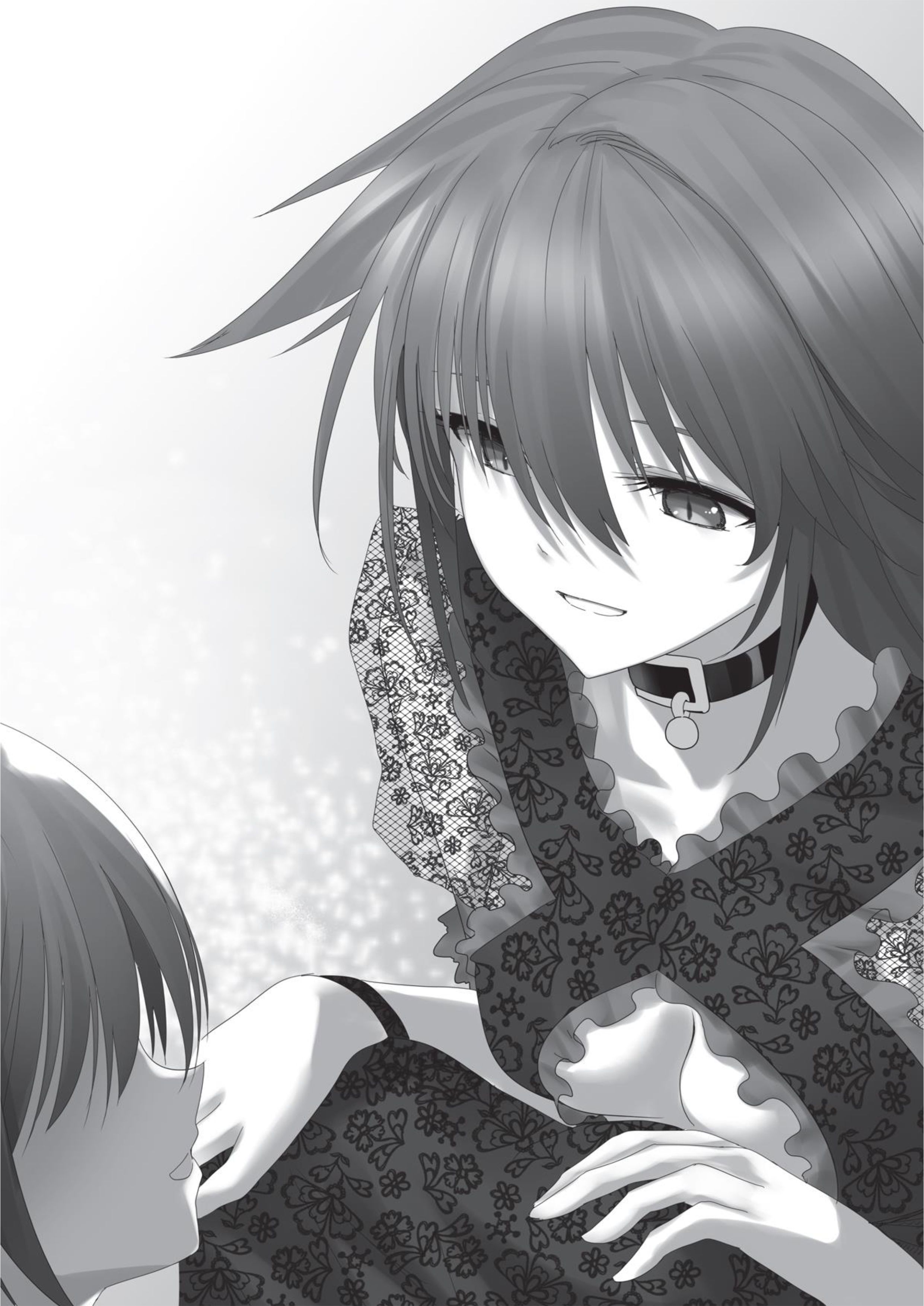 Hazure Skill V4 Illustration - Megumi Novel