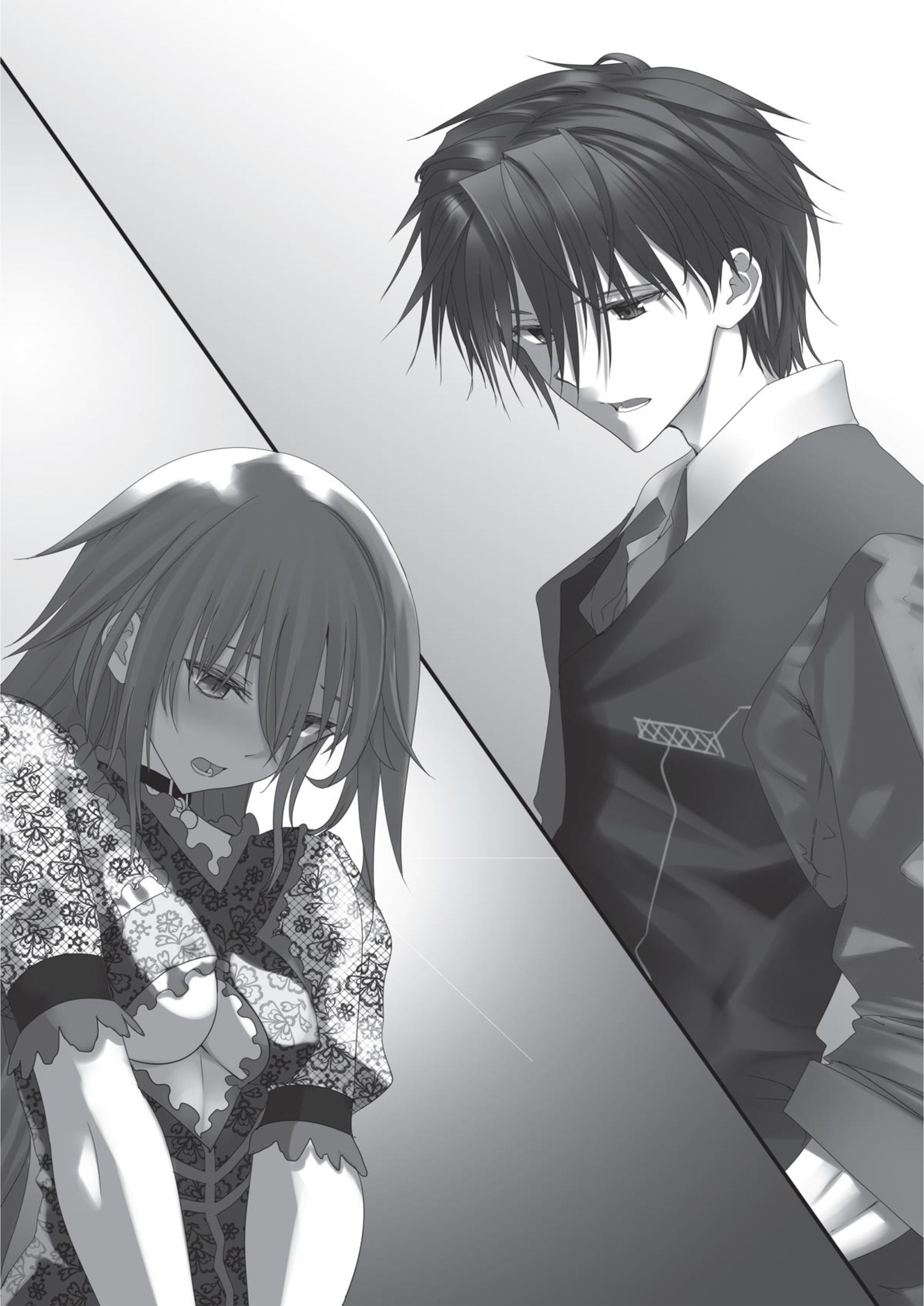Hazure Skill V4 Illustration - Megumi Novel