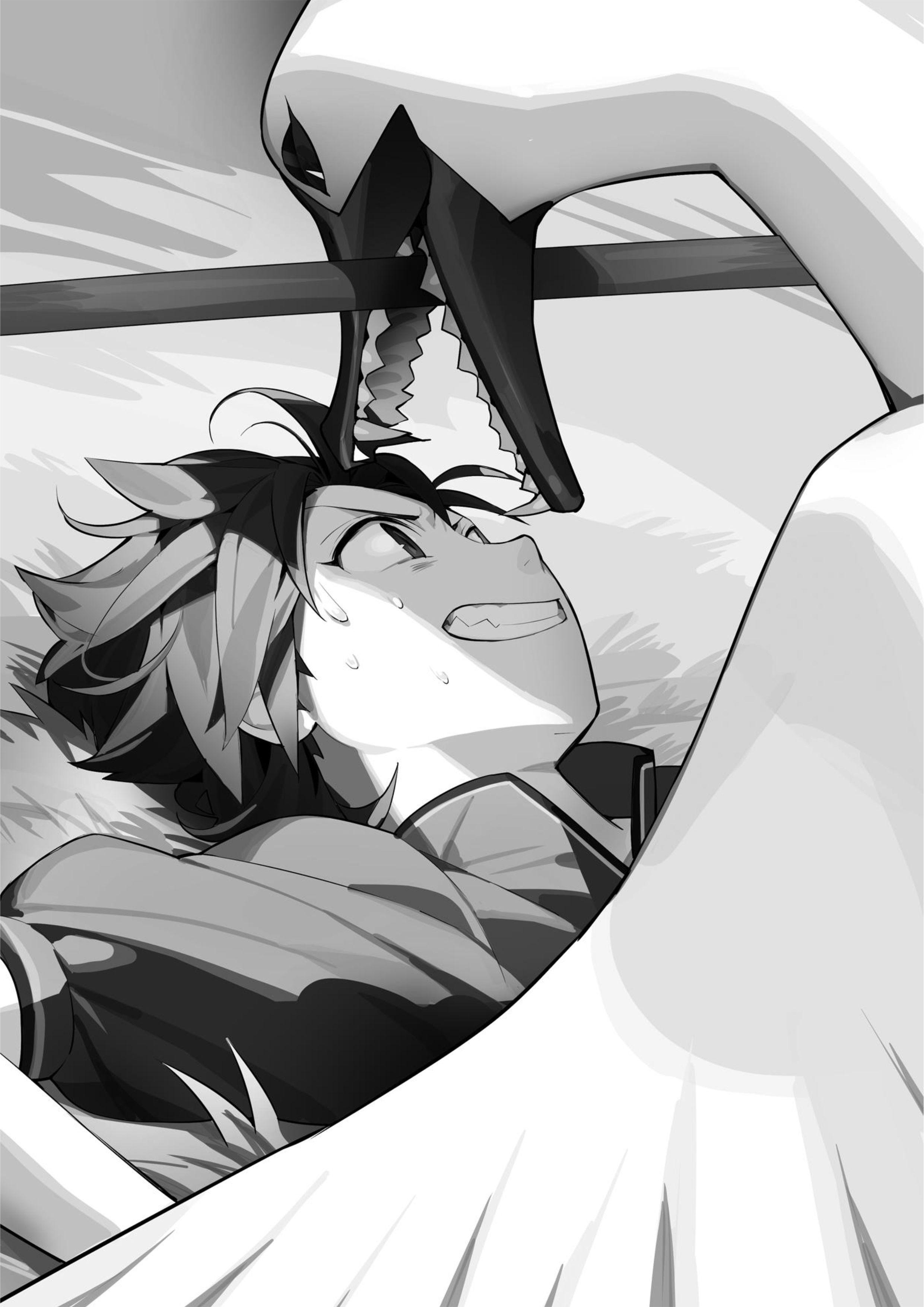 Hell Mode V1 Illustration - Megumi Novel