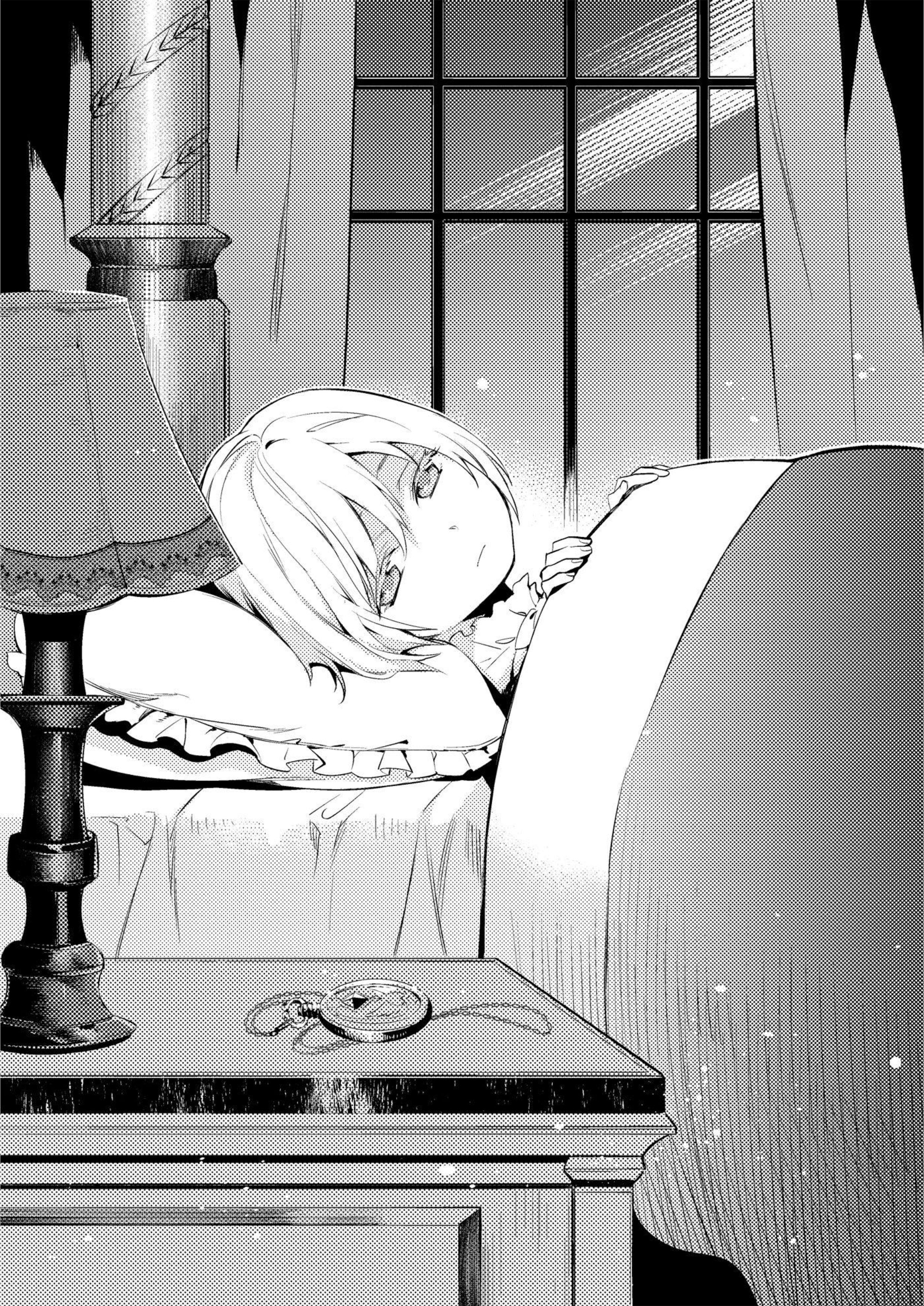 Herscherik V1 Illustration - Megumi Novel