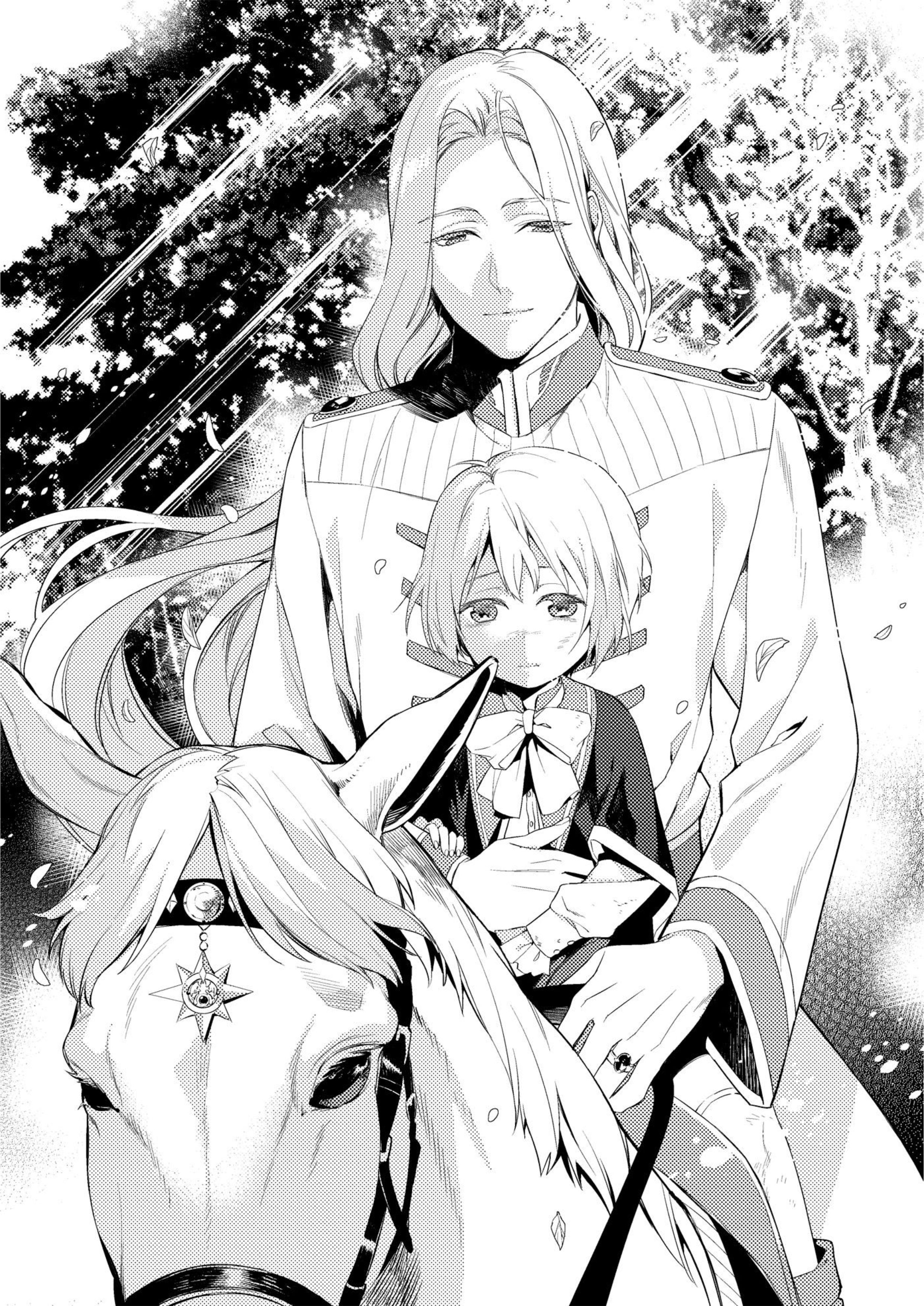 Herscherik V1 Illustration - Megumi Novel