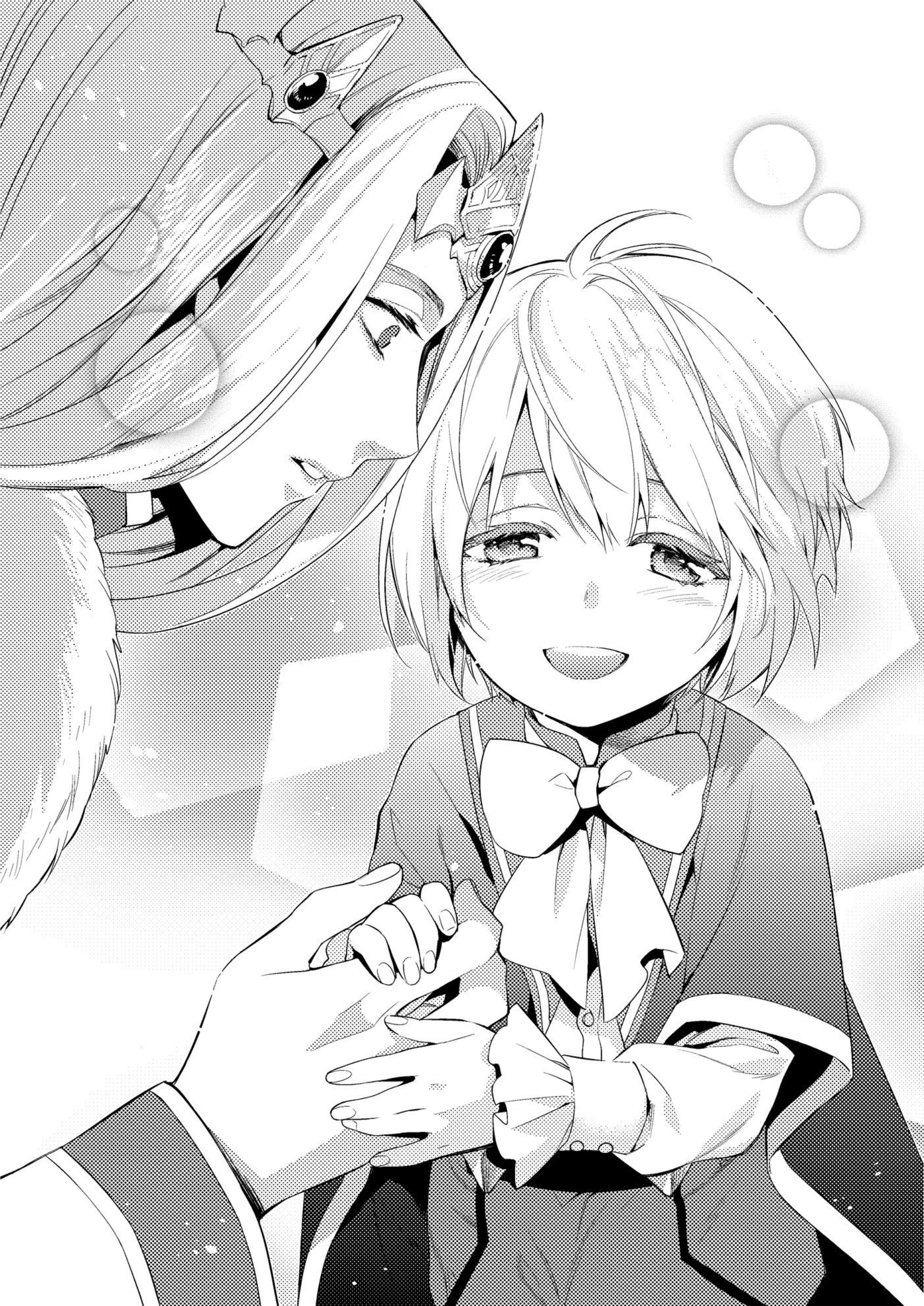 Herscherik V1 Illustration - Megumi Novel