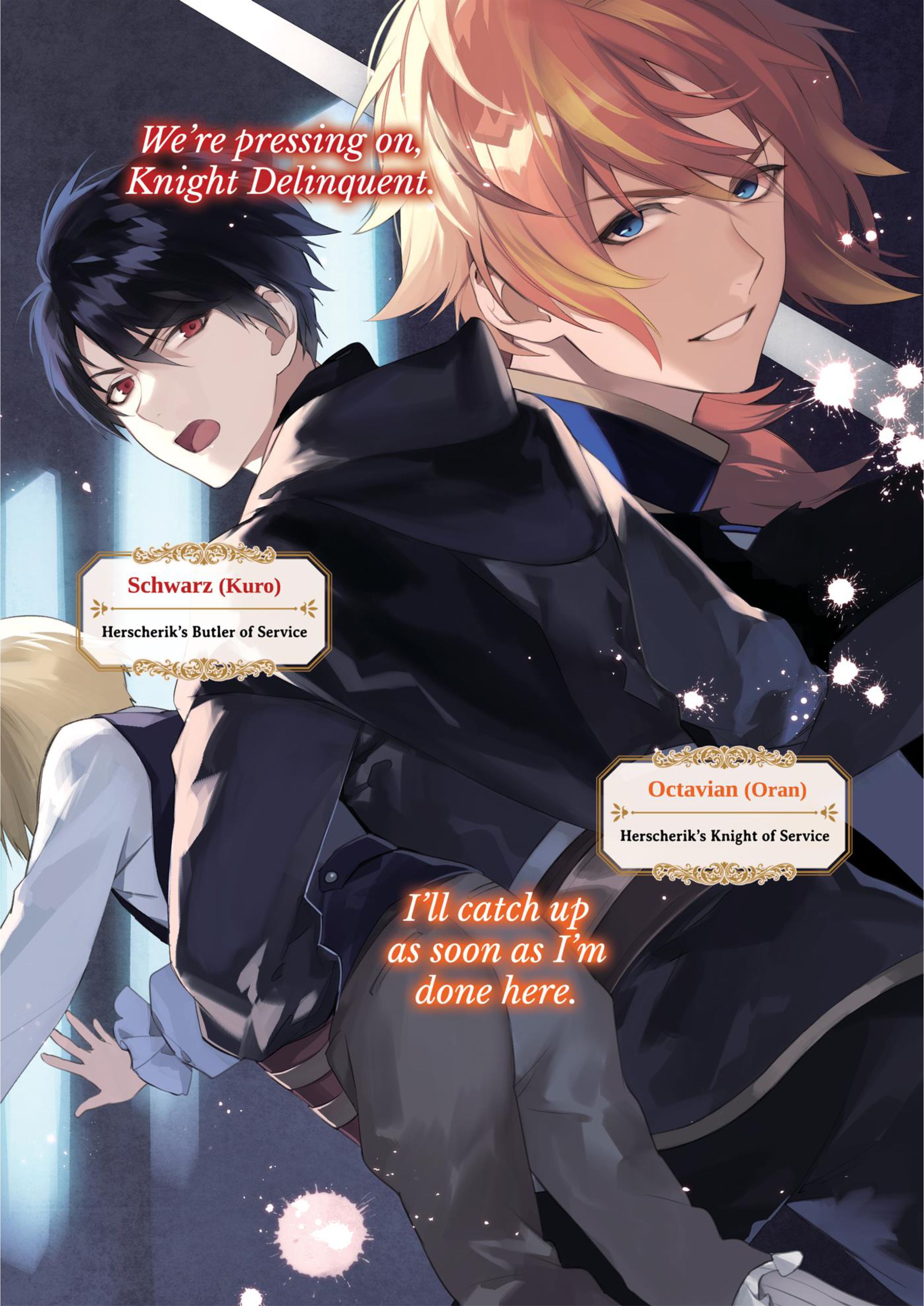 Herscherik V3 Illustration - Megumi Novel