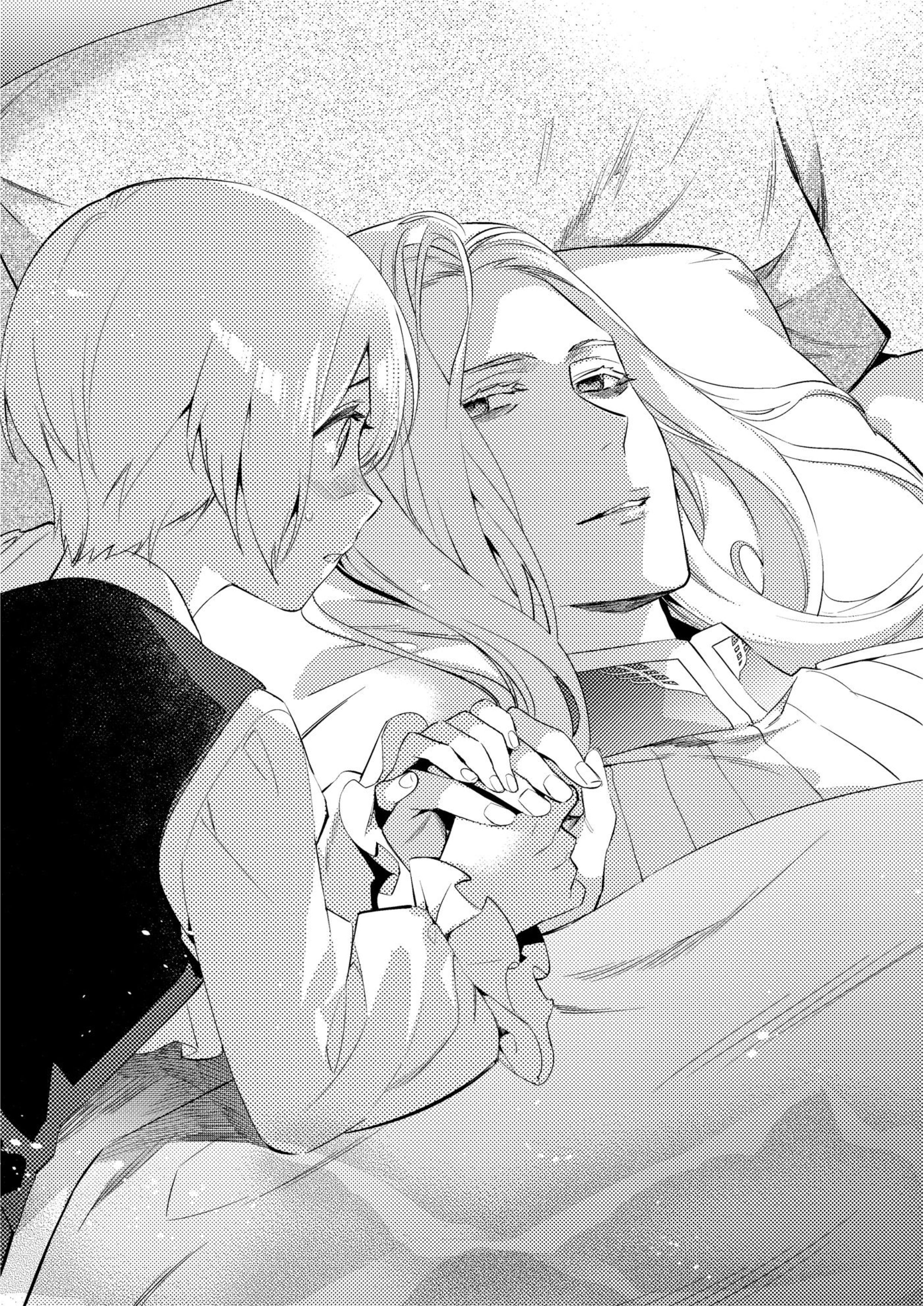 Herscherik V4 Illustration - Megumi Novel