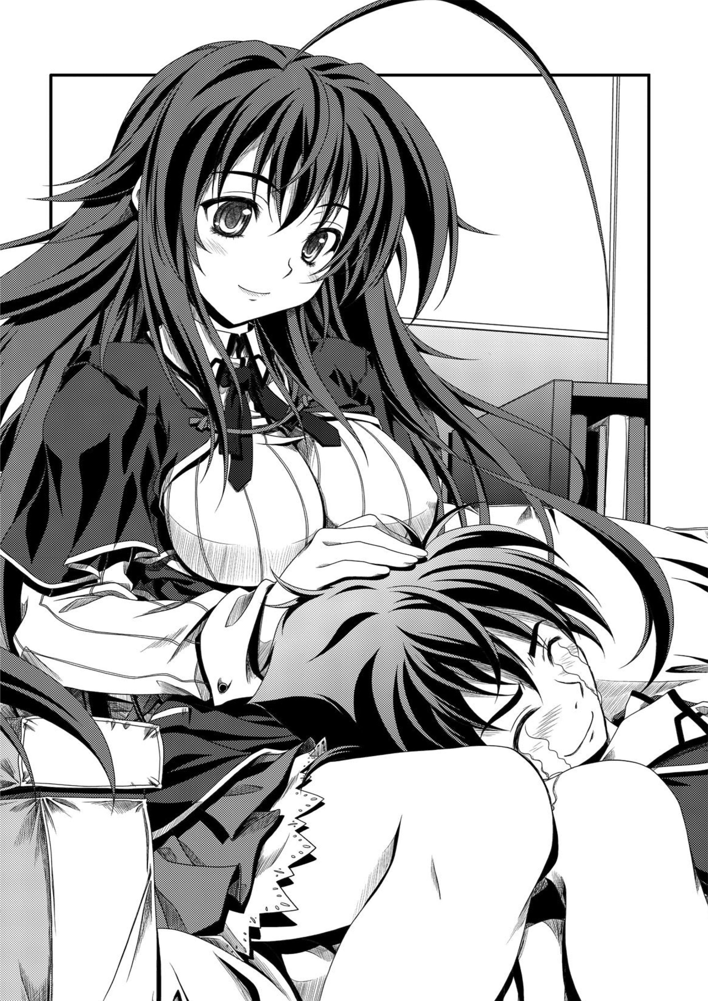 High School DxD V2 Illustration - Megumi Novel