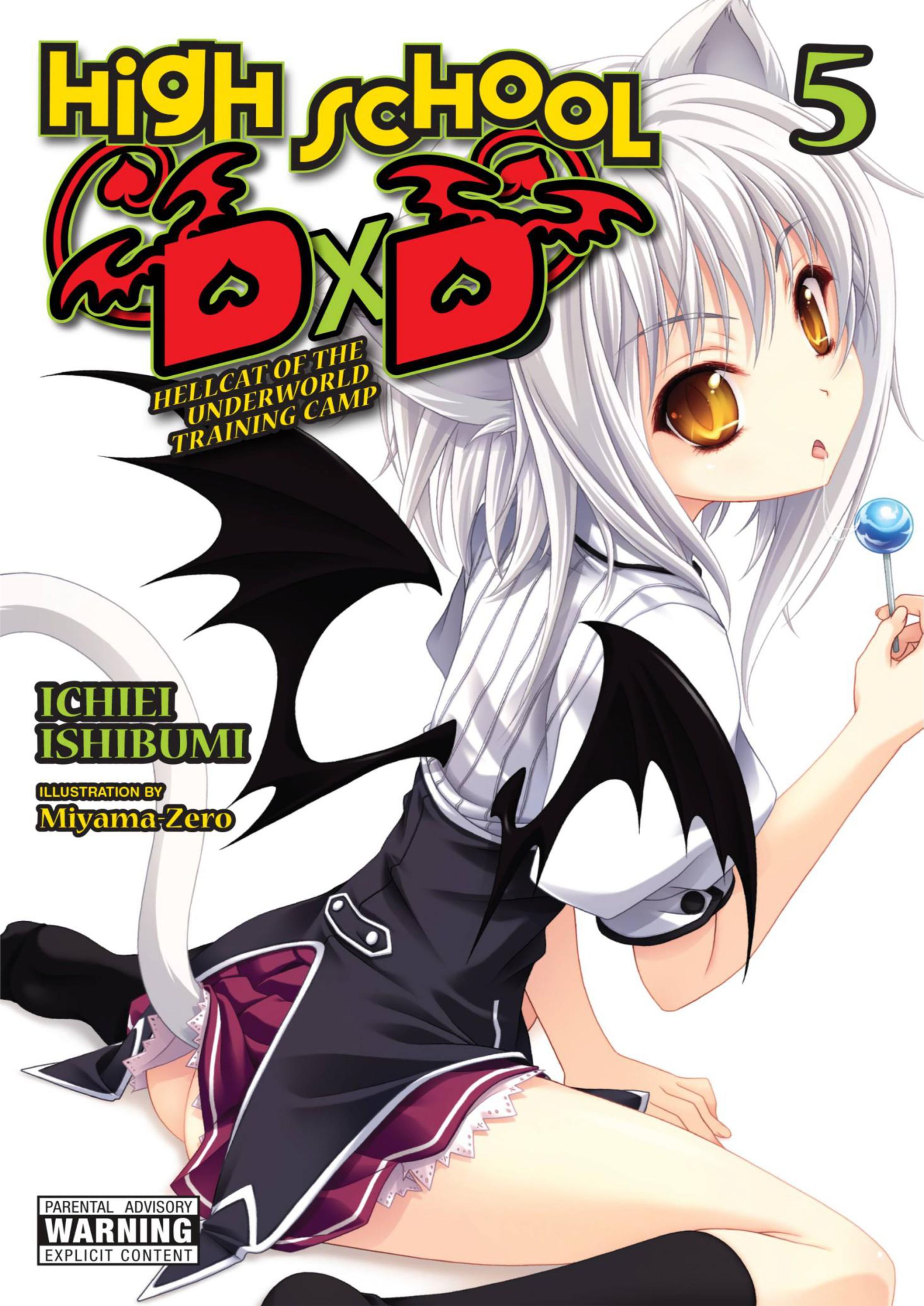 High School DxD V5 Illustration - Megumi Novel