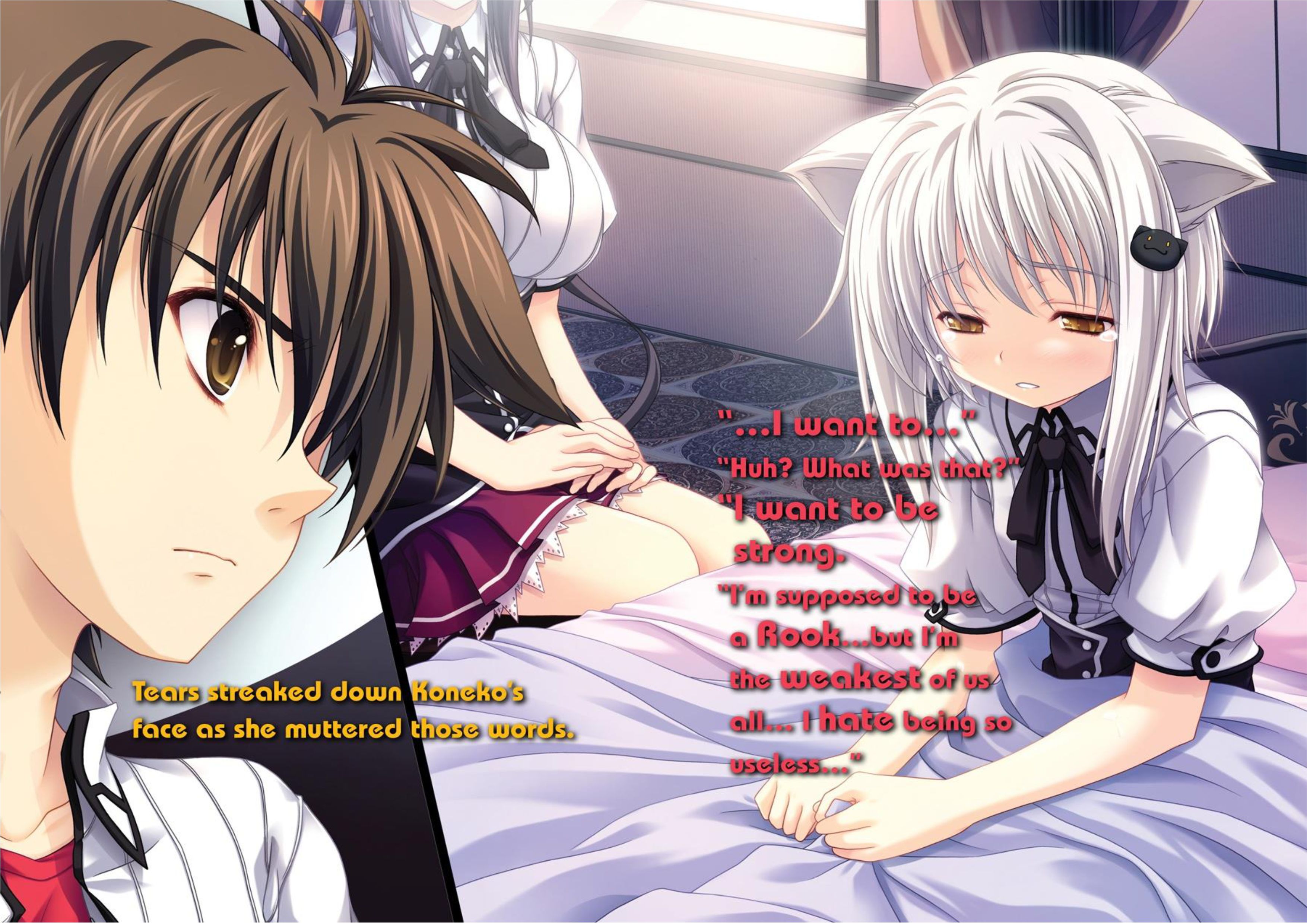 High School DxD V5 Illustration - Megumi Novel