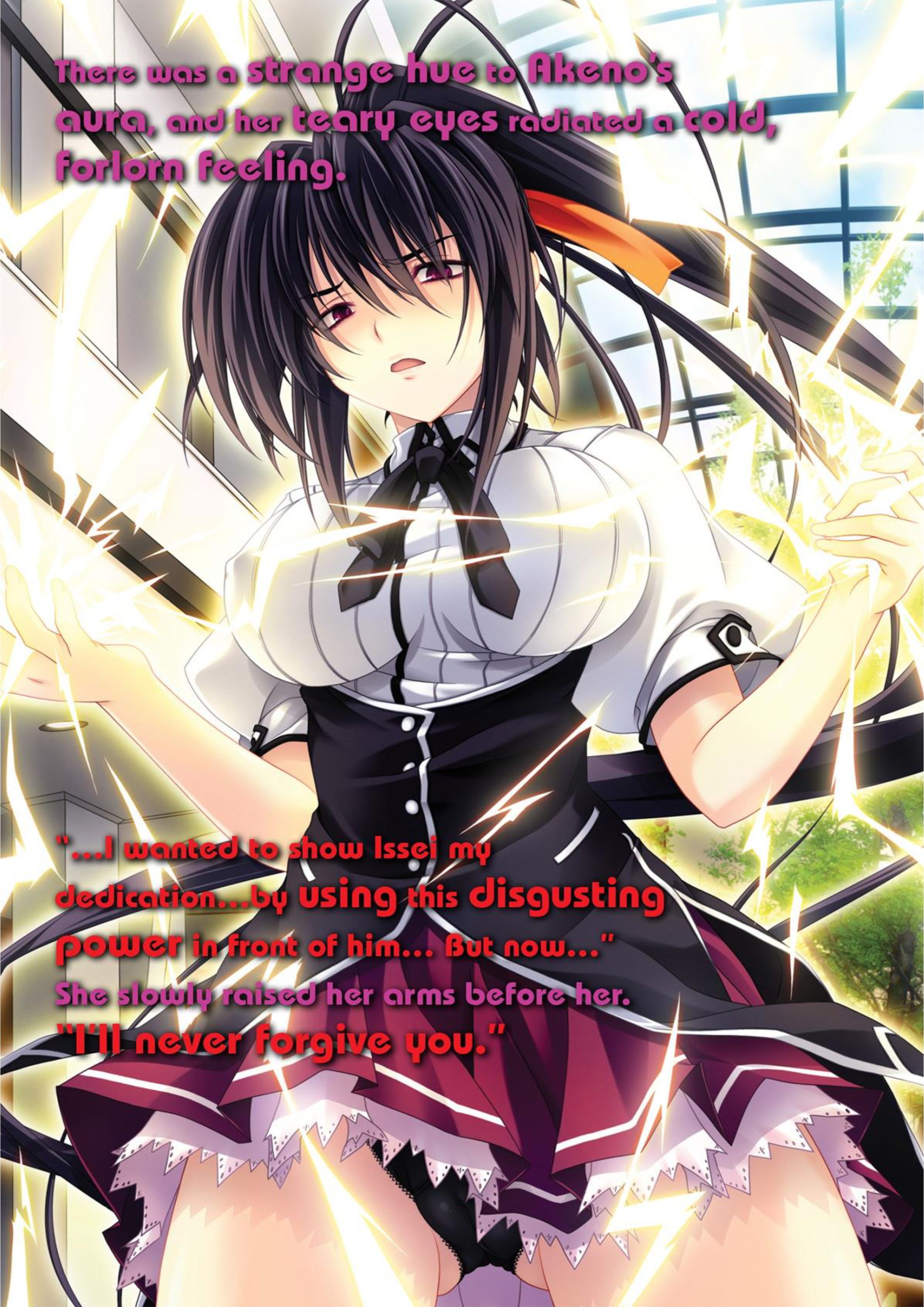 High School DxD V5 Illustration - Megumi Novel
