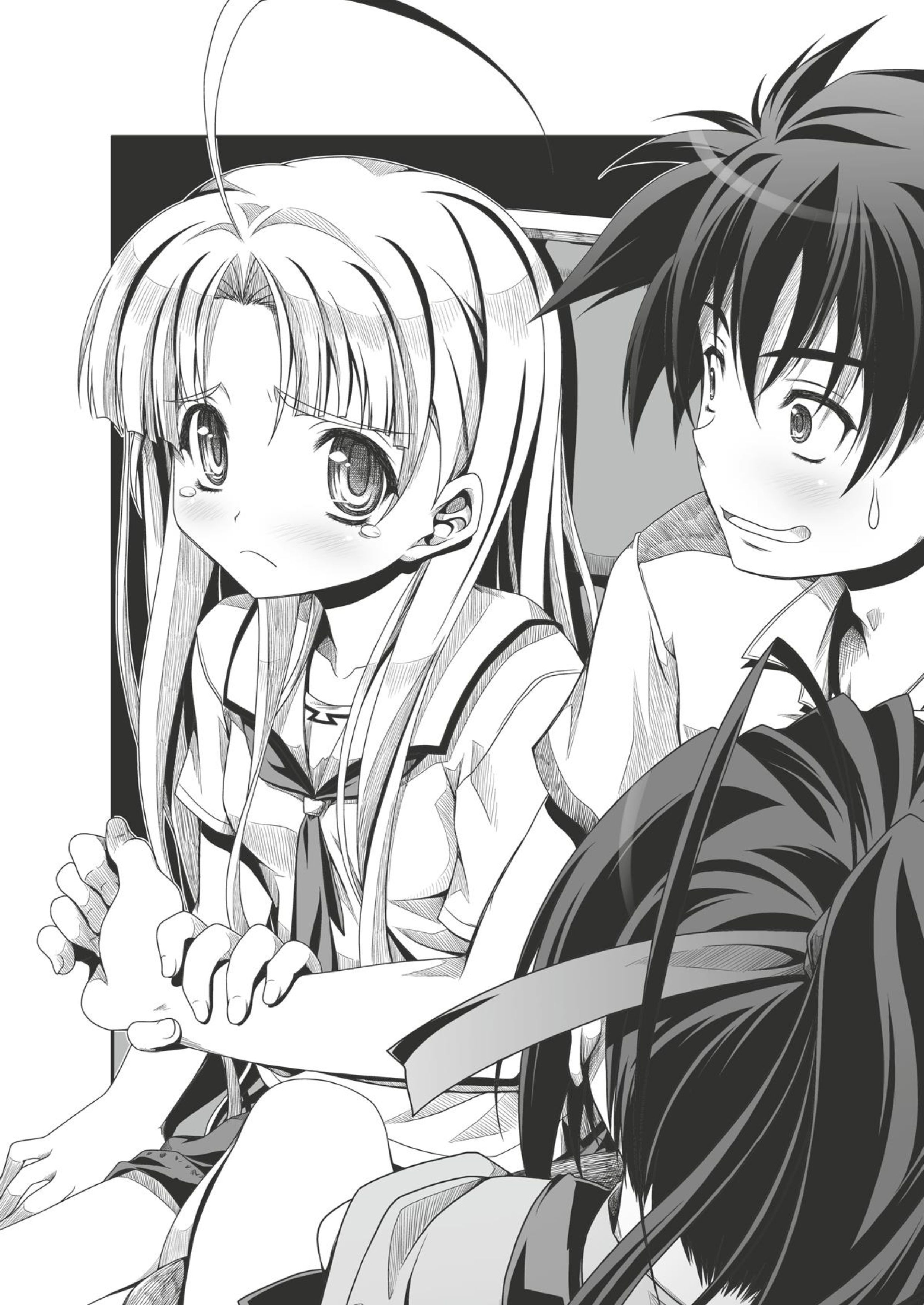 High School DxD V5 Illustration - Megumi Novel