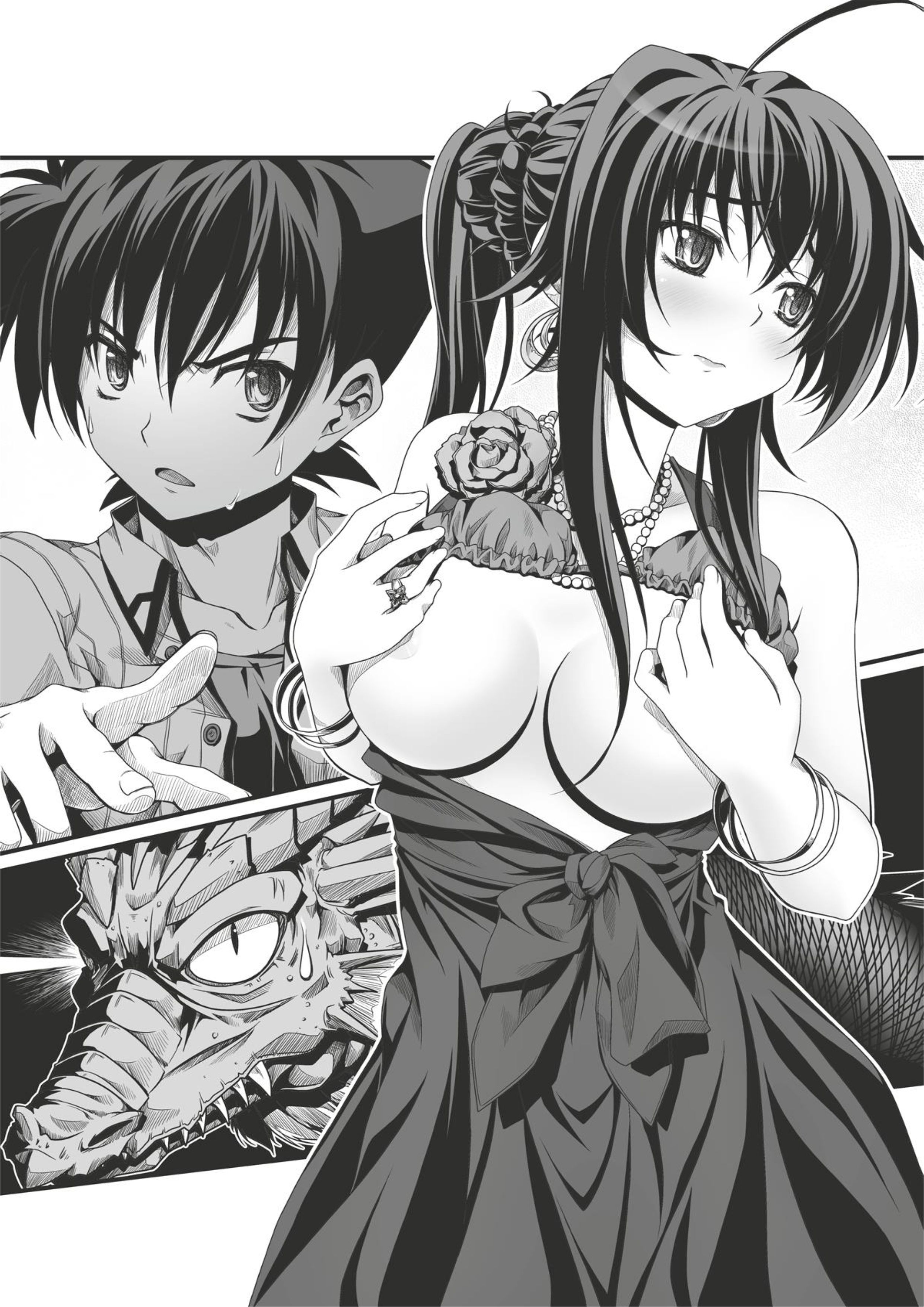 High School DxD V5 Illustration - Megumi Novel