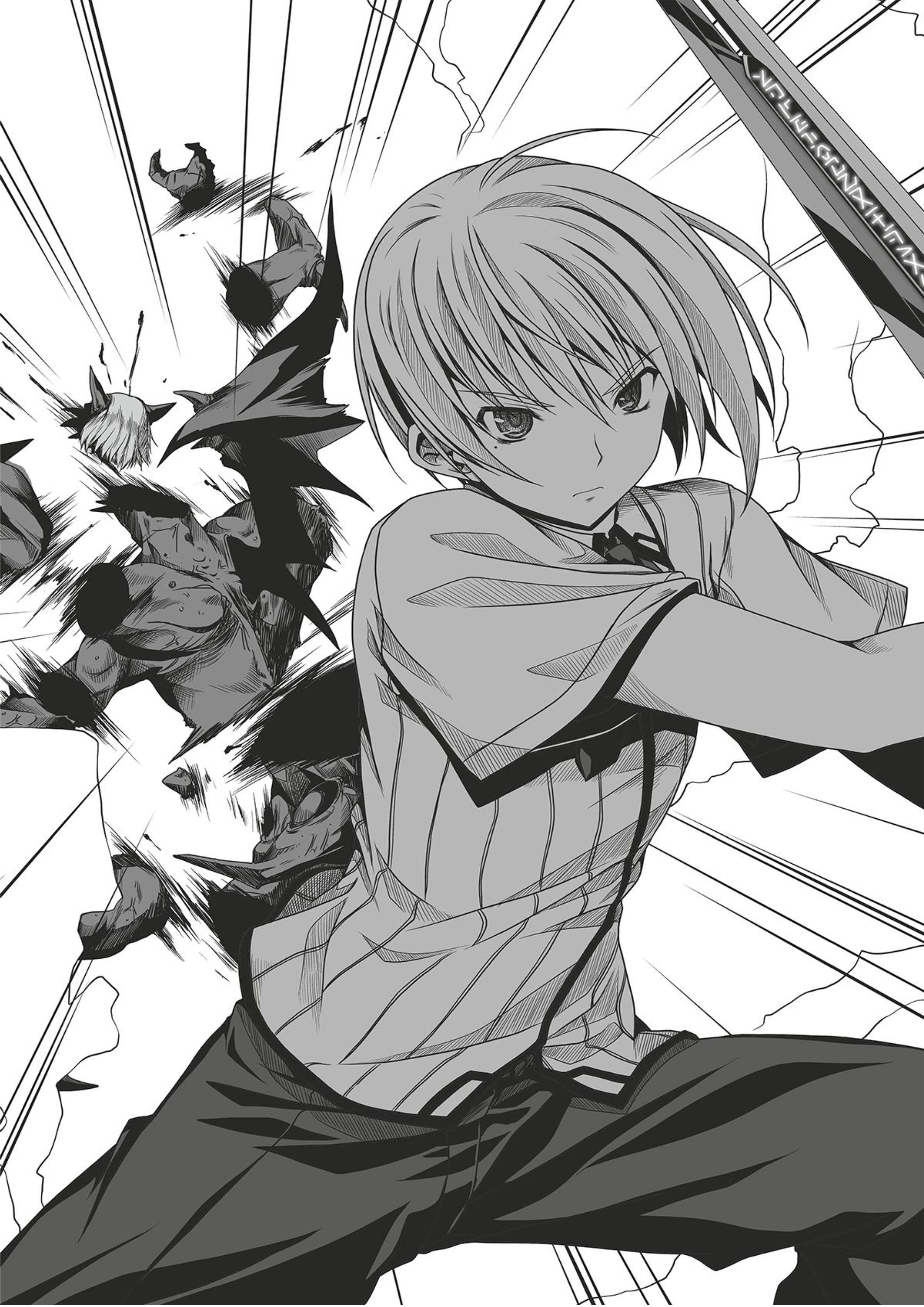 High School DxD V6 Illustration - Megumi Novel