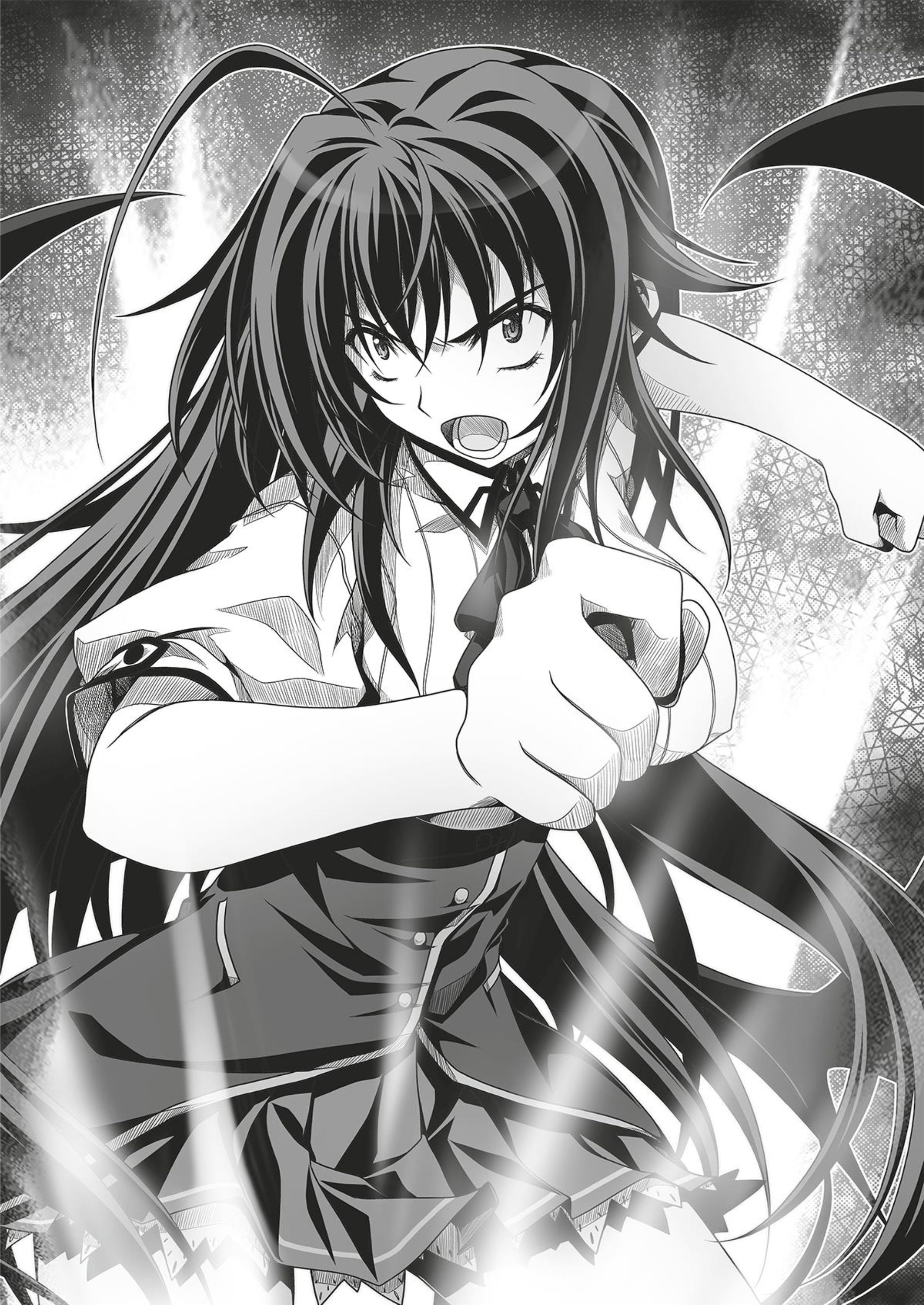 High School DxD V6 Illustration - Megumi Novel