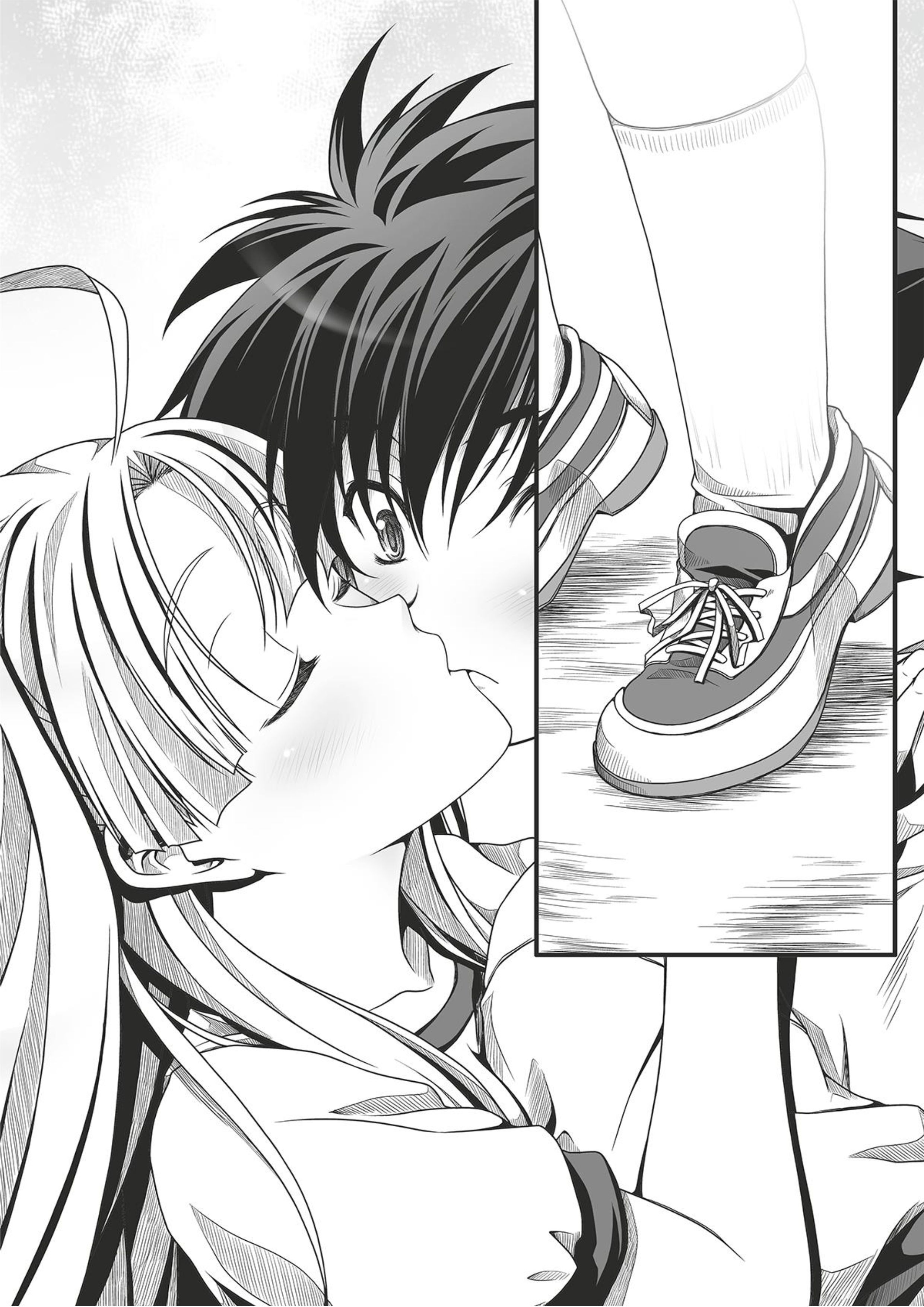 High School DxD V6 Illustration - Megumi Novel