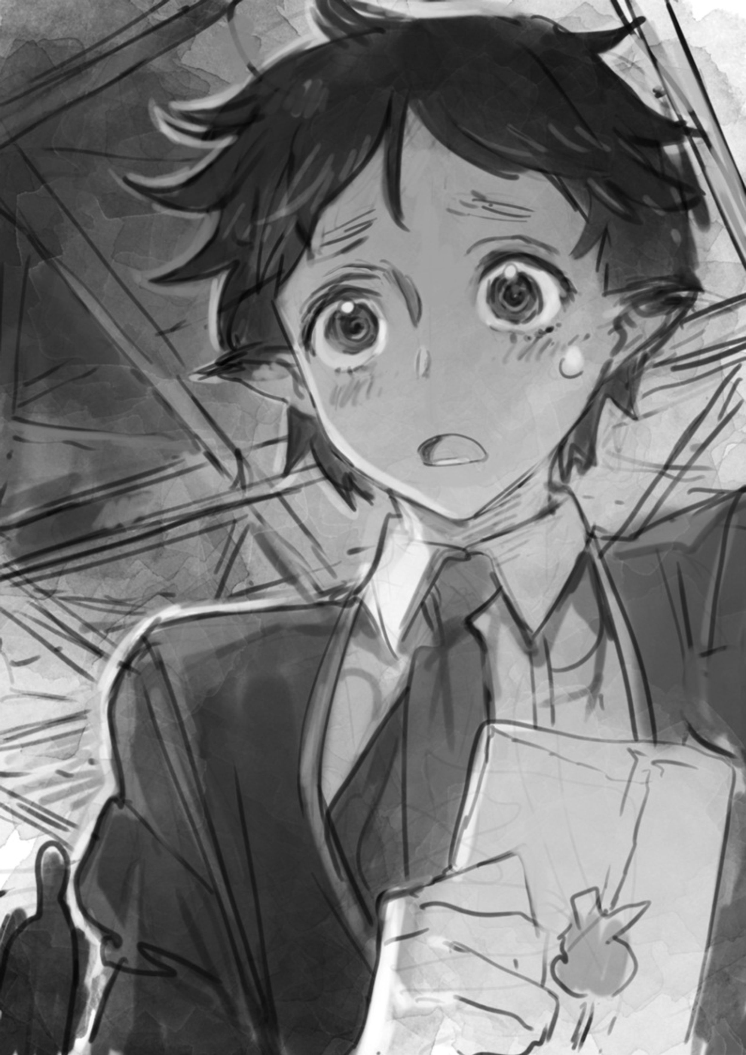 Horobi no Kuni no Seifukusha V2 Illustration - Megumi Novel