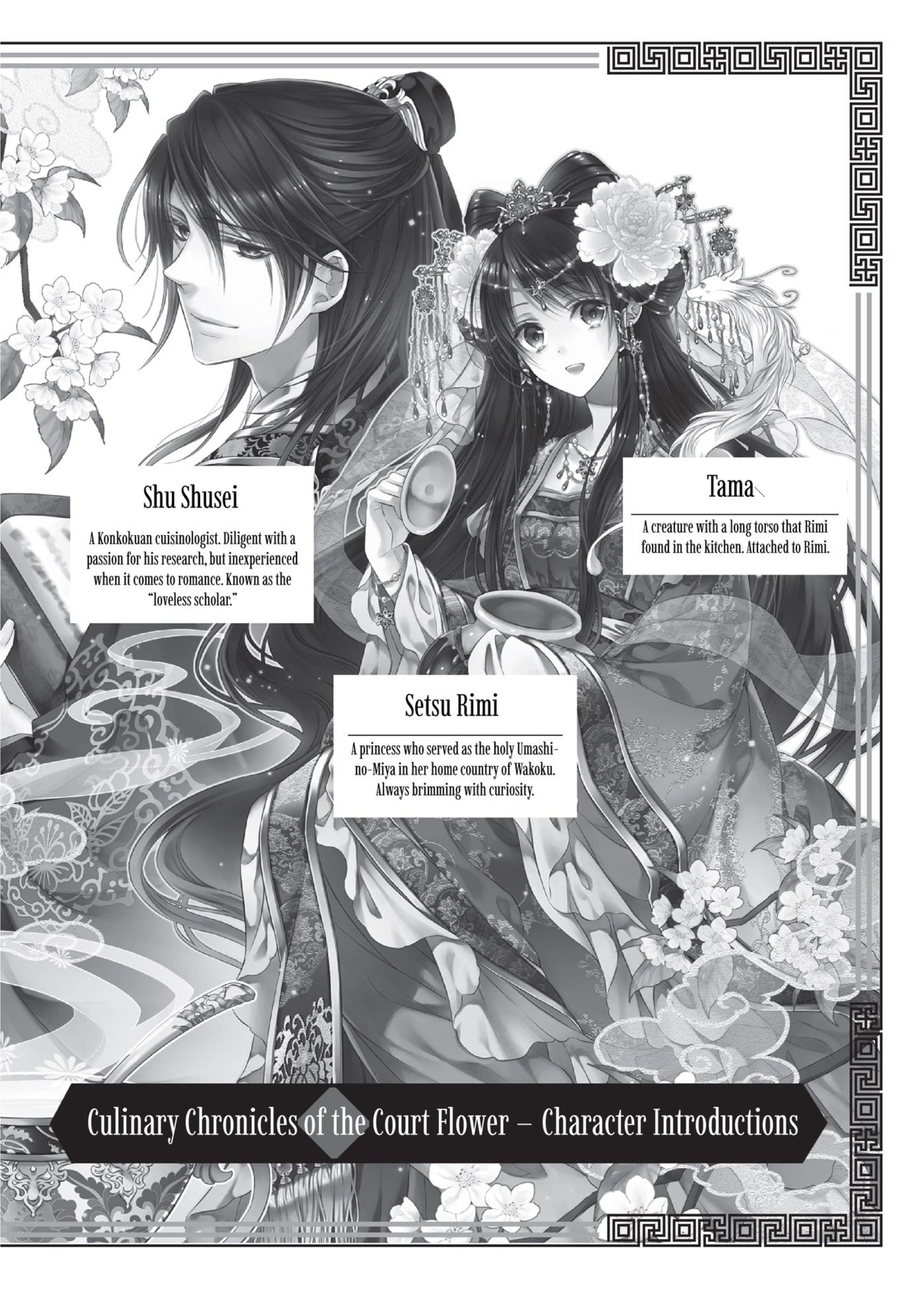 Ikka Koukyuu Ryourichou V1 Illustration - Megumi Novel